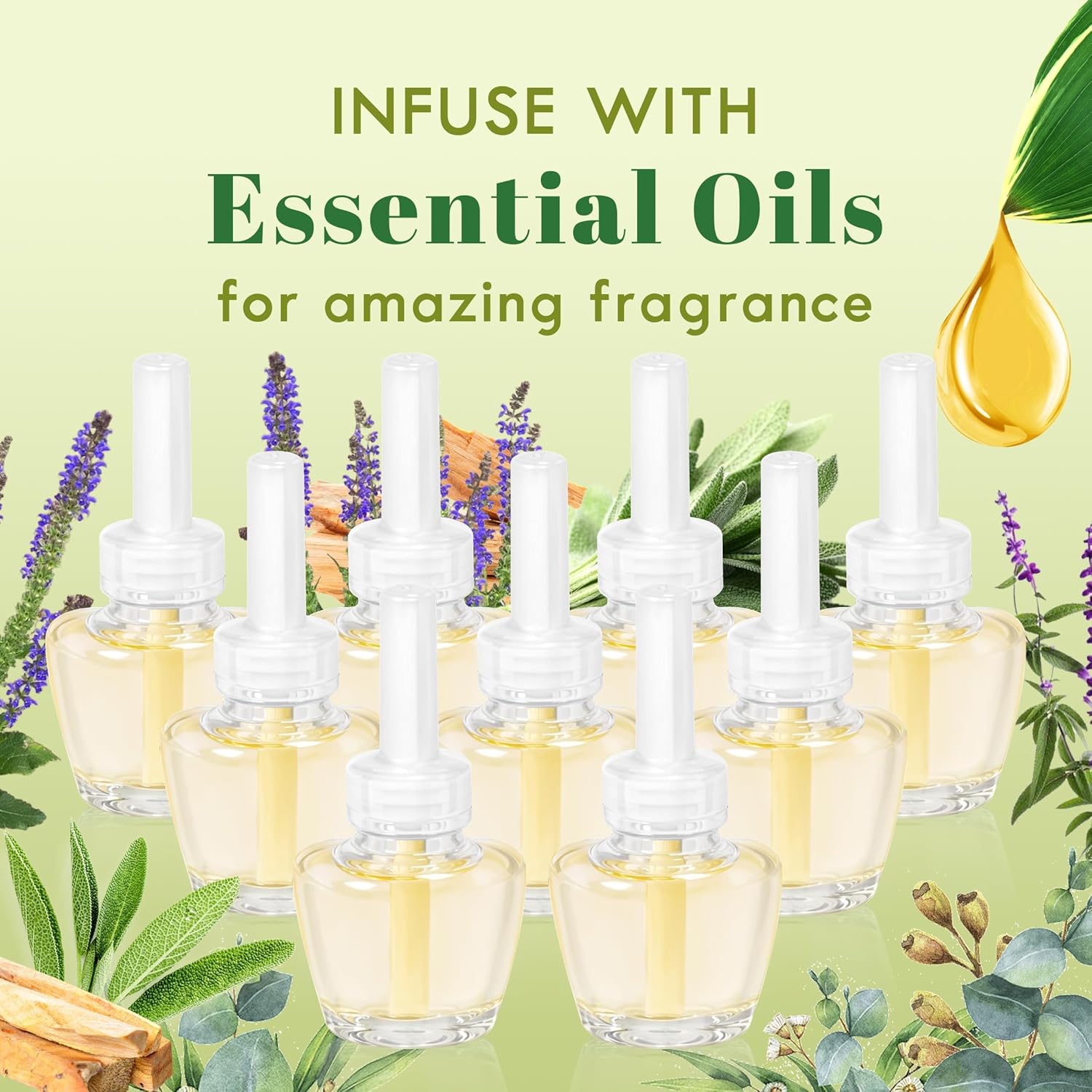 Plug-In Air Freshener Refills 12 Count - Palo Santo & Eucalyptus, Baby Powder Scent For Rooms &