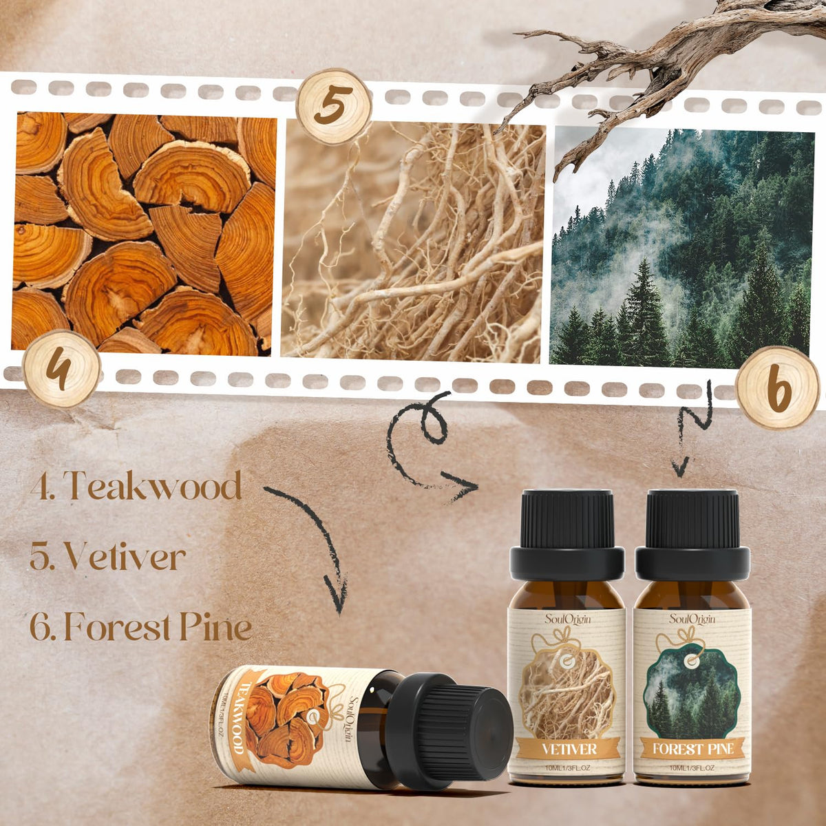 Woody Essential Oils Set, Fragrance Oil Set for Diffuser, Scent Diffuser Oil for Candle Making
