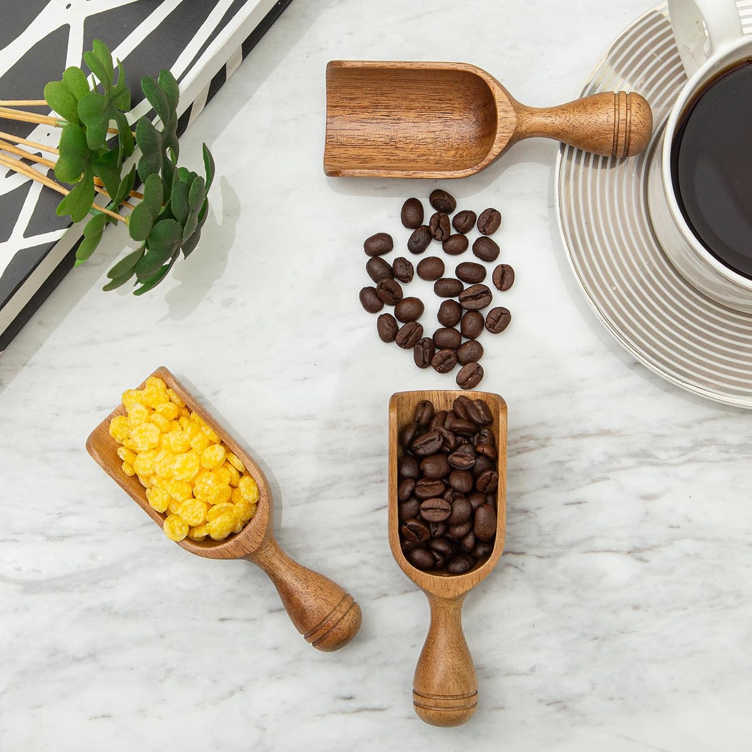 Wooden Scoops for Canisters 3PCS Wooden Scoop for Jars Acacia Mini Measuring Spoons for Ground