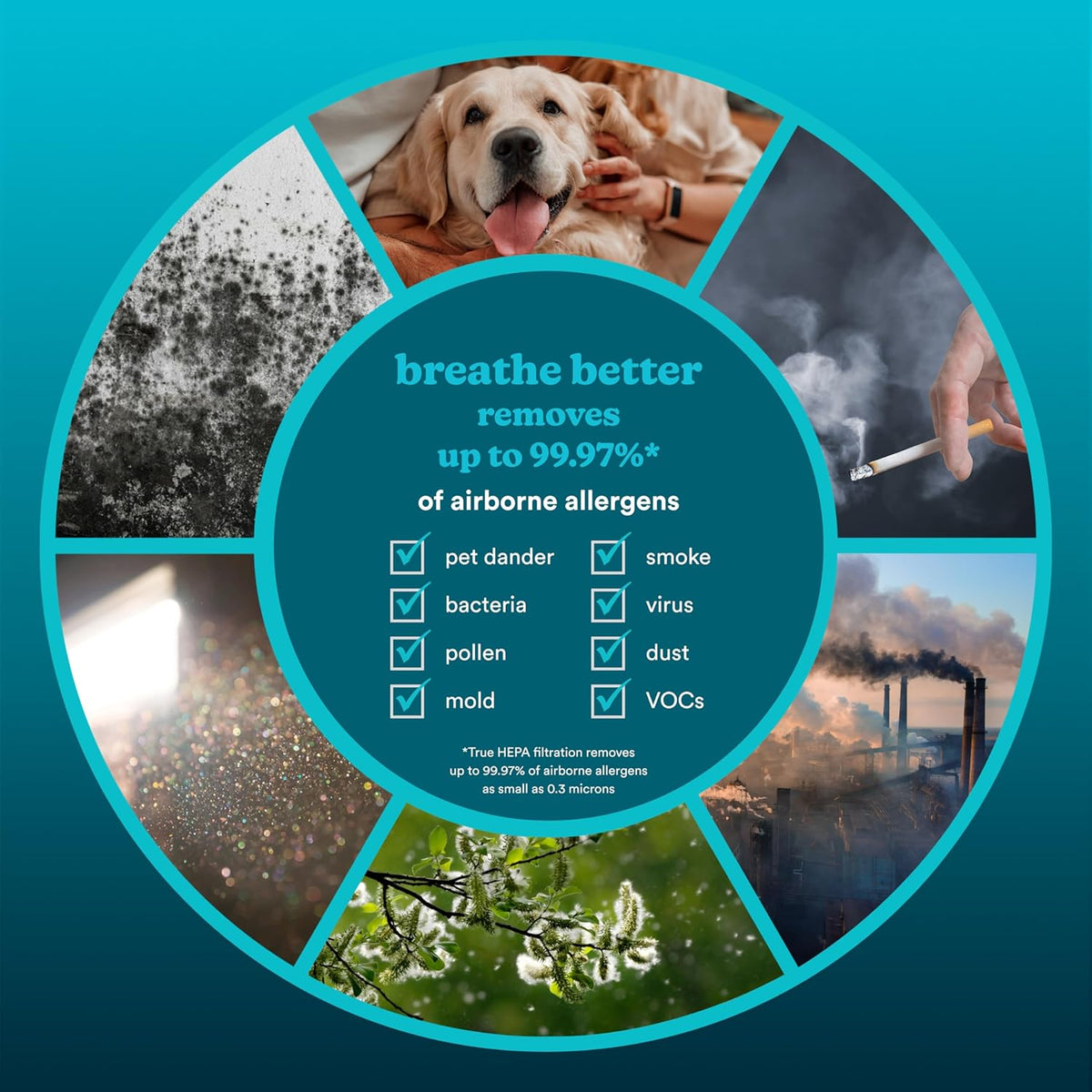 Homedics Smart Air Purifier 4-in-1 Tower for Large Rooms, Up To 1570 sq ft, True HEPA Filtration