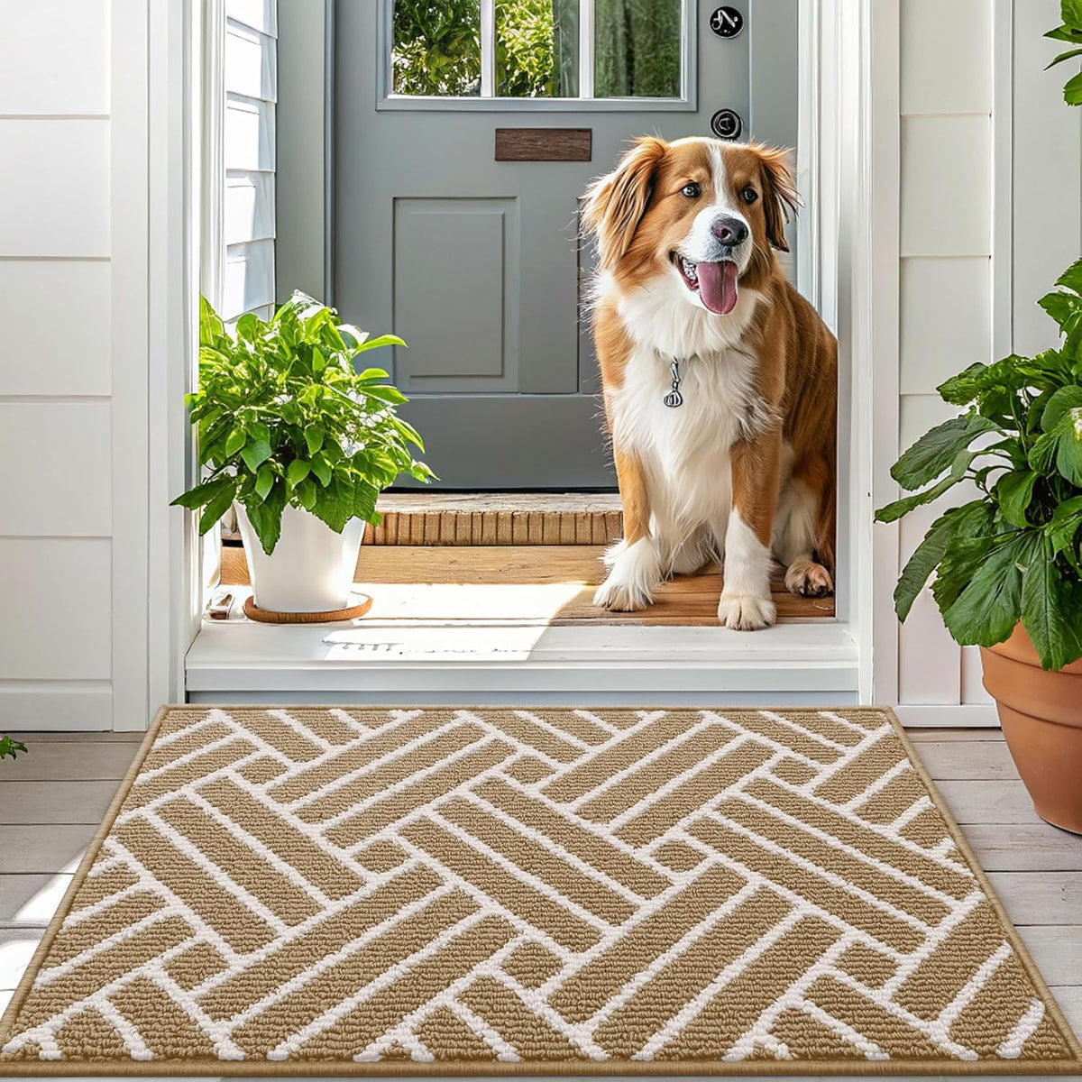 OLANLY Indoor Door Mat, 32x20 Inch, Dirt Resistant and Absorbent, Non-Slip Rubber Backing Floor
