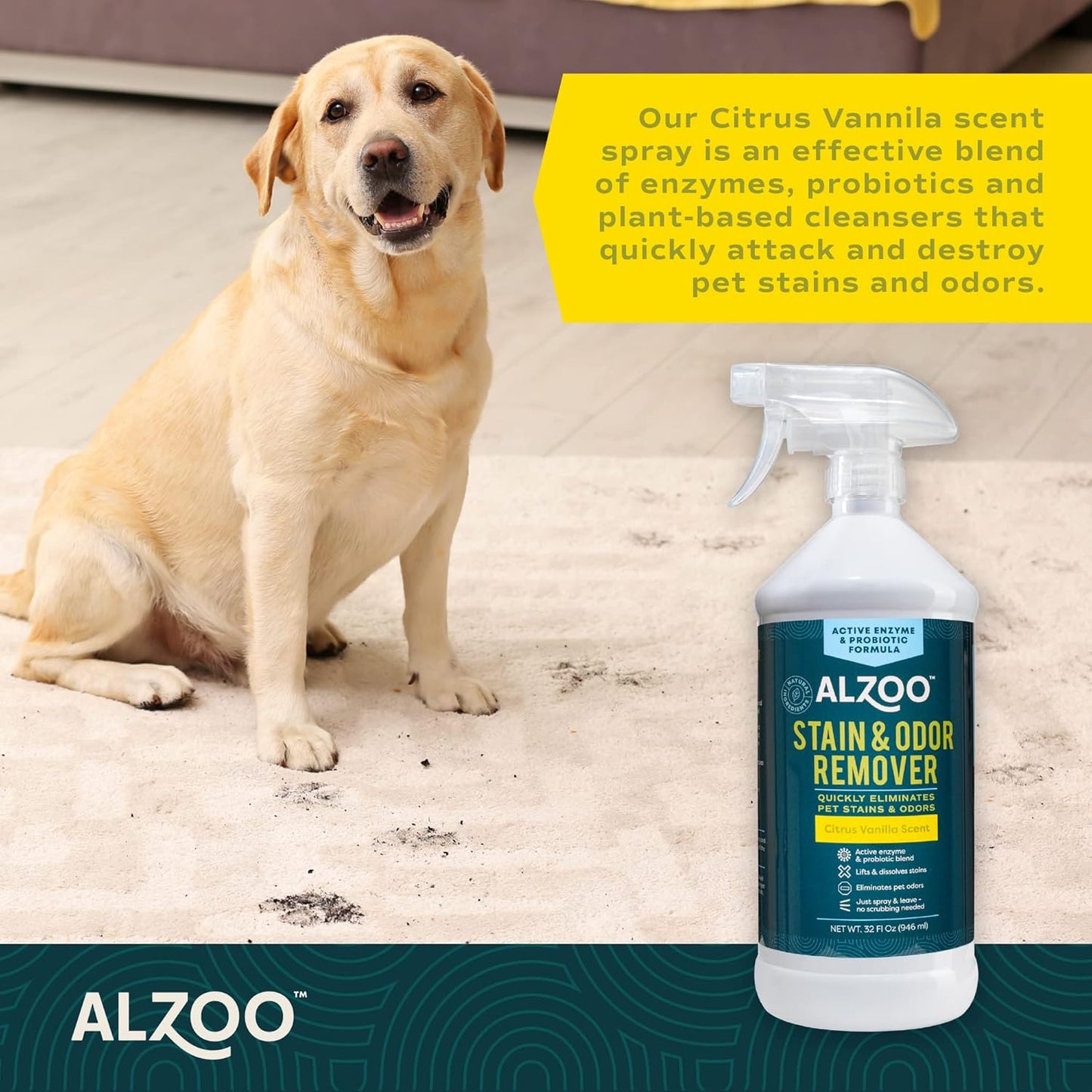 ALZOO Stain & Odor Remover, Quickly Lifts & Dissolves Pet Stains & Helps Eliminate Odors, 100%