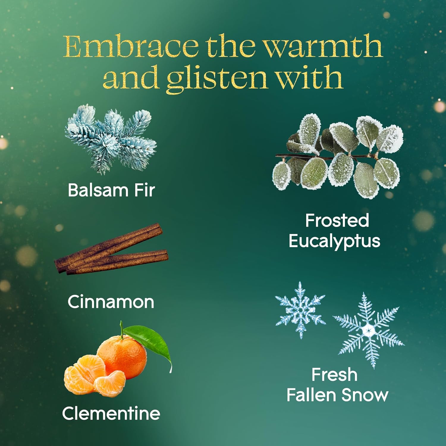 Glade PlugIns Refills Air Freshener, Balsam & Spruce and Bergamot & Eucalyptus, Scented and