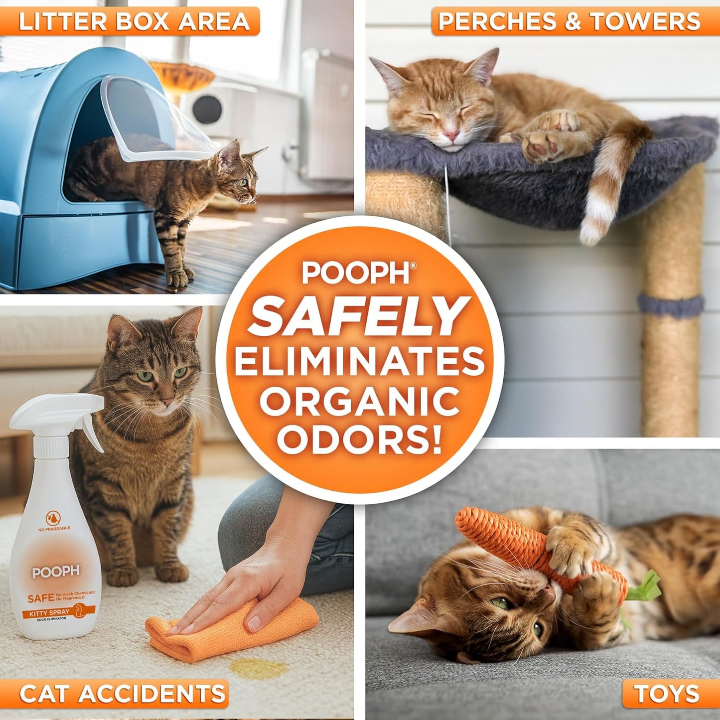 POOPH Kitty Spray - Odor Eliminator, 32oz - Dismantles Odors on a Molecular Basis, Cats, Freshener
