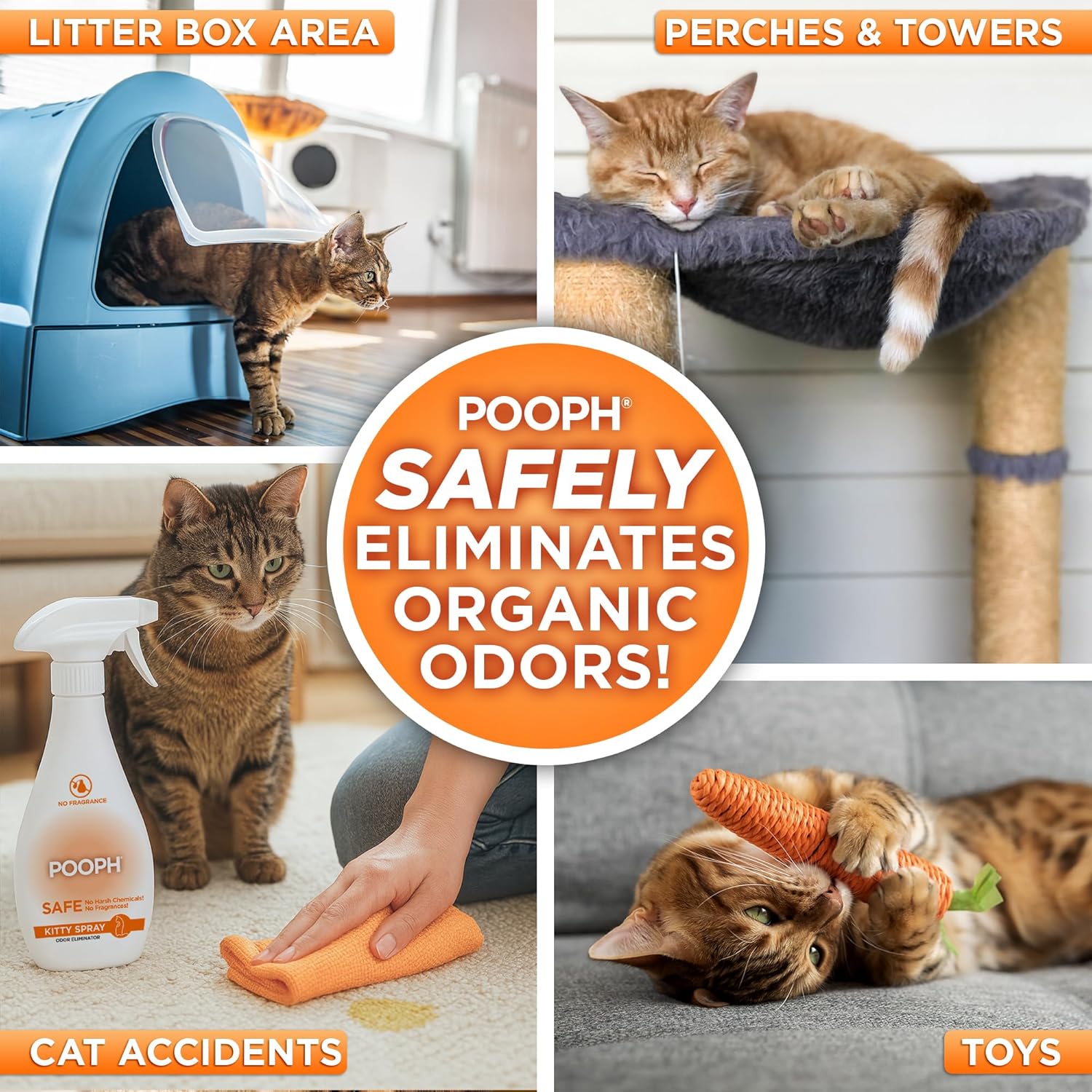 POOPH Kitty Spray - Odor Eliminator, 32oz - Dismantles Odors on a Molecular Basis, Cats, Freshener