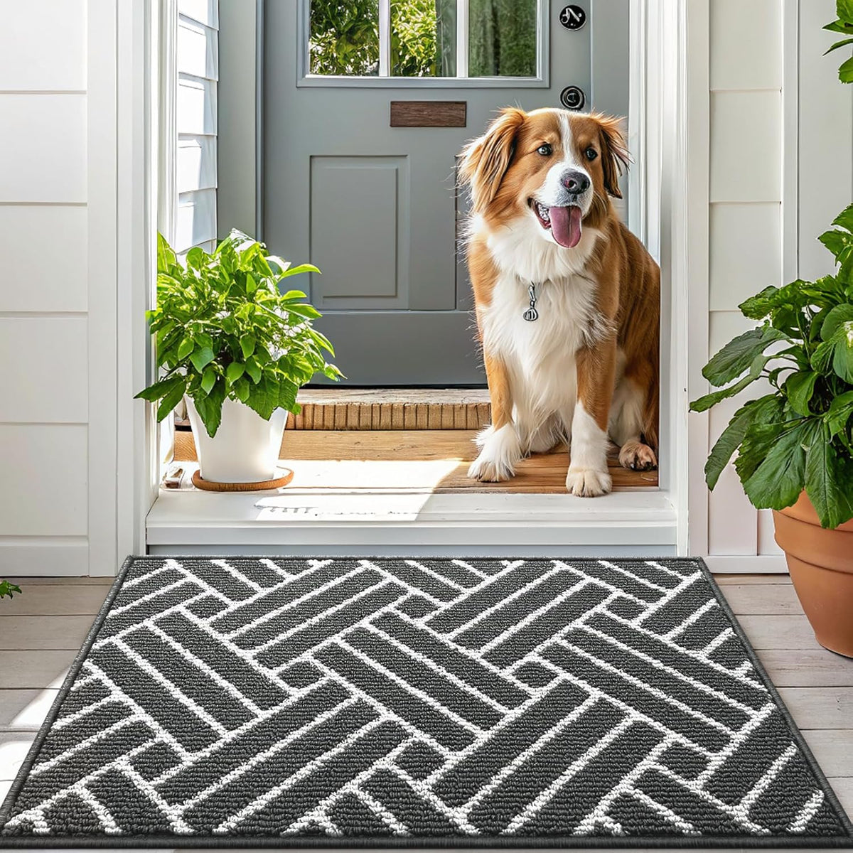 OLANLY Large Indoor Door Mat, 59x35 Inch, Dirt Resistant and Absorbent, Non-Slip Rubber Backing