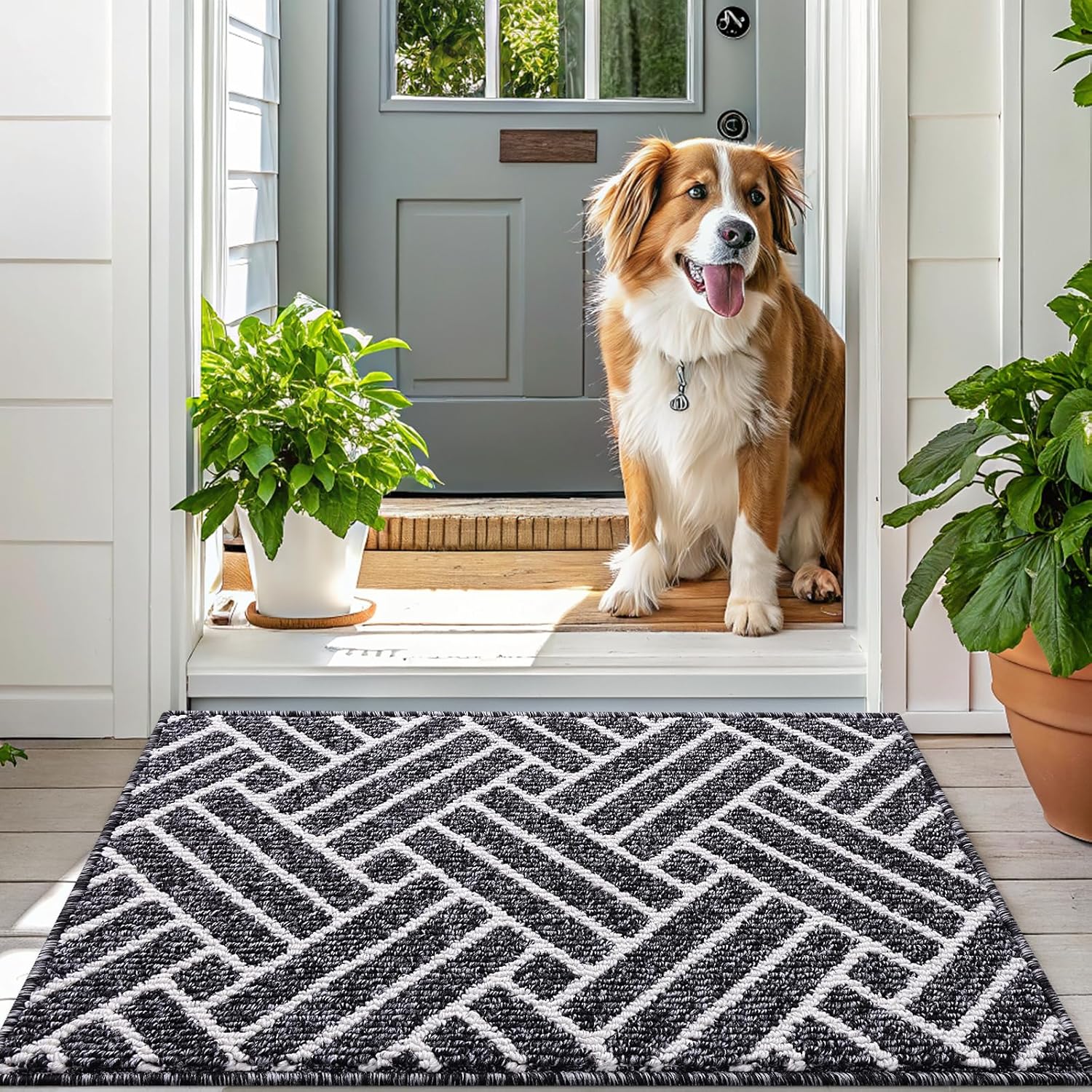OLANLY Indoor Door Mat, 32x20 Inch, Dirt Resistant and Absorbent, Non-Slip Rubber Backing Floor