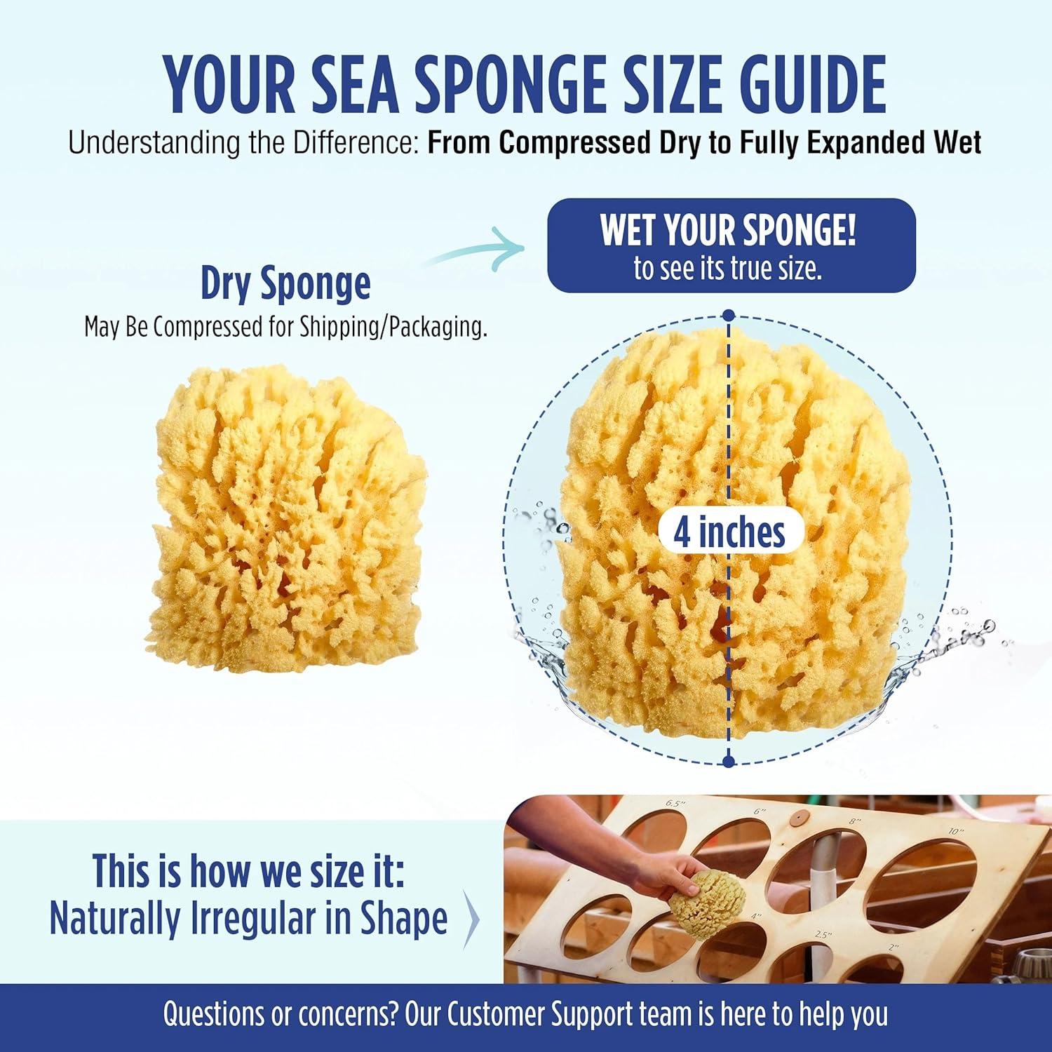 Baby Buddy Baby Bath 4in Assorted Sea Sponges, Absorbent Natural Sea Sponge, Soft on Tender Skin