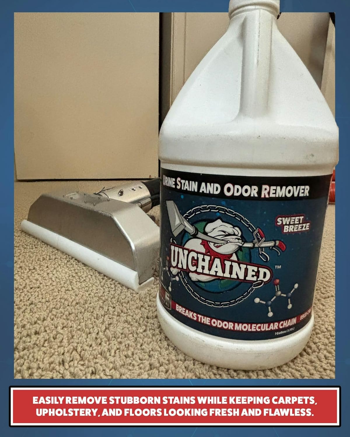Unchained Urine Stain & Odor Remover Liquid Concentrate - Oxygen Based Odor Control Formula, Pet