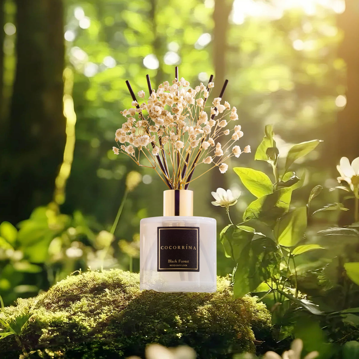 Cocorrína Reed Diffuser Sets, 6.7 fl oz. Black Forest Diffuser with Sticks Home Fragrance Reed