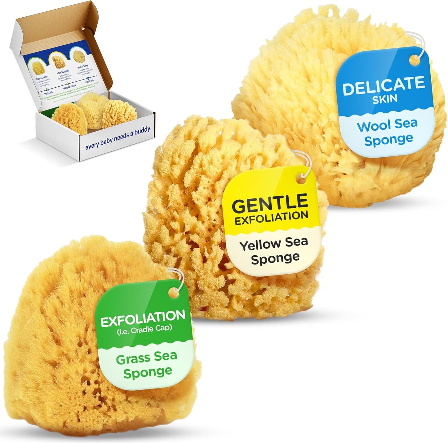 Baby Buddy Baby Bath 4in Assorted Sea Sponges, Absorbent Natural Sea Sponge, Soft on Tender Skin