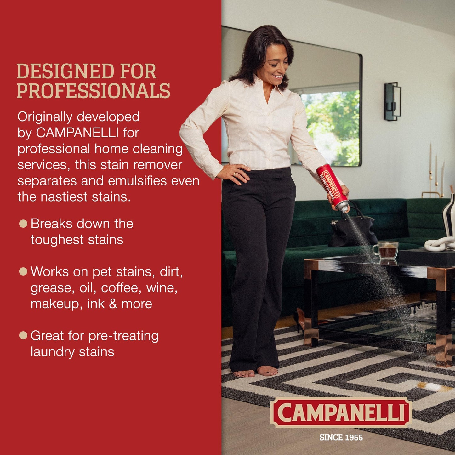CAMPANELLI Pro Series Carpet & Upholstery Stain Remover Spray, 18Oz Aerosol – view 7