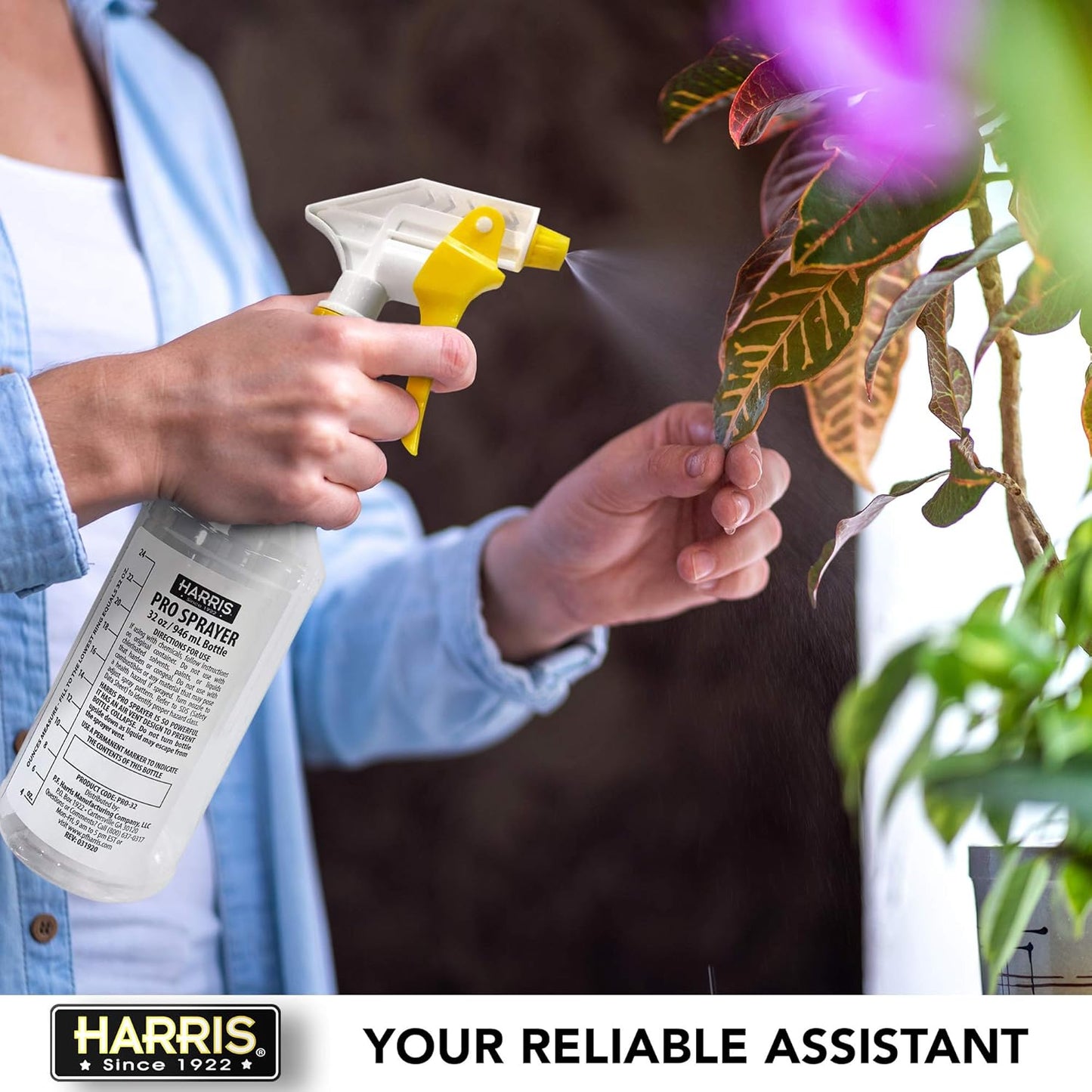 HARRIS+FAMOUS+ROACH+TABLETS HARRIS Professional Spray Bottle 32oz (3-Pack), Clear – view 4