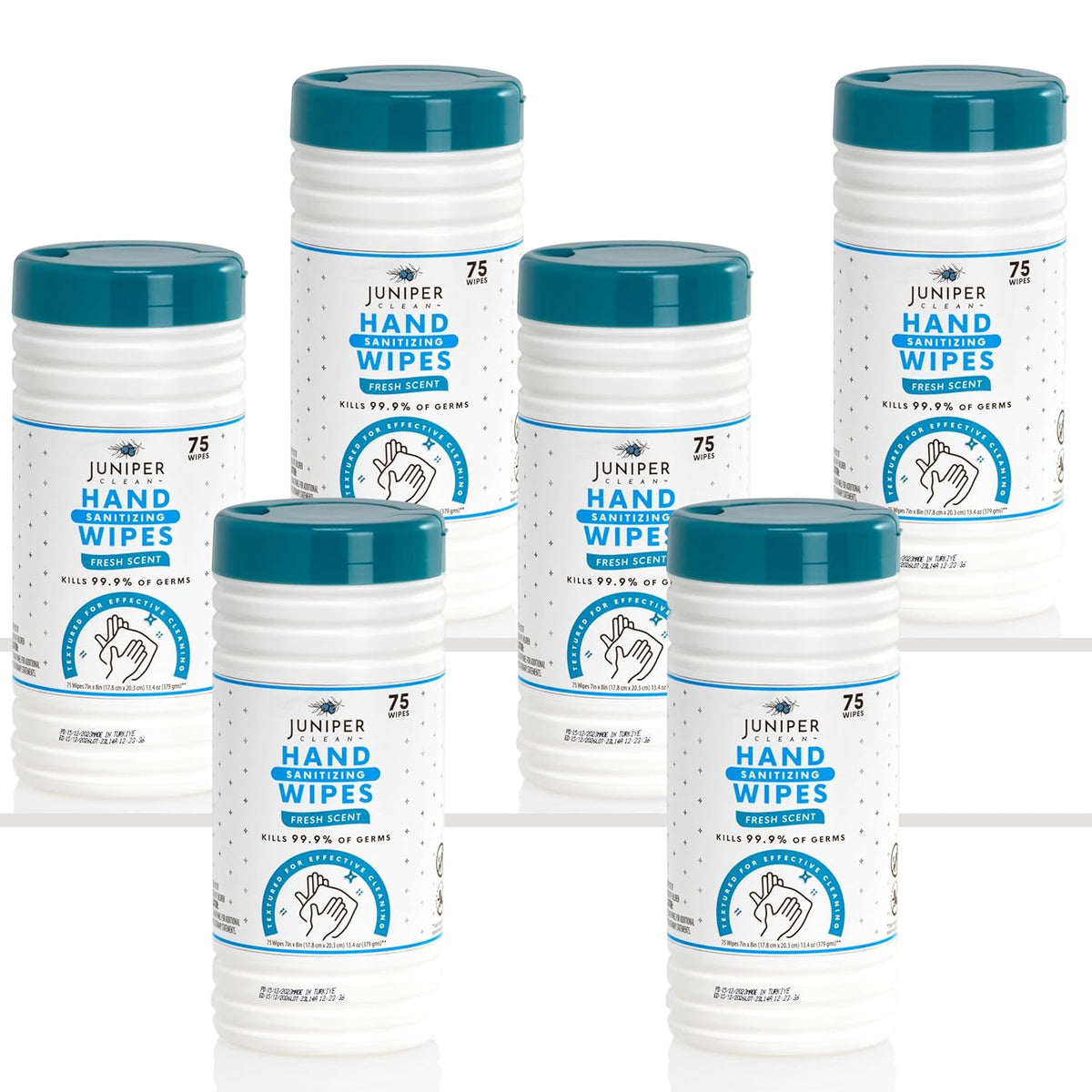 6 Pack Canister Hand Sanitizing Wipes, Alcohol Free 450 Count Canister Disposable Hand Sanitizer