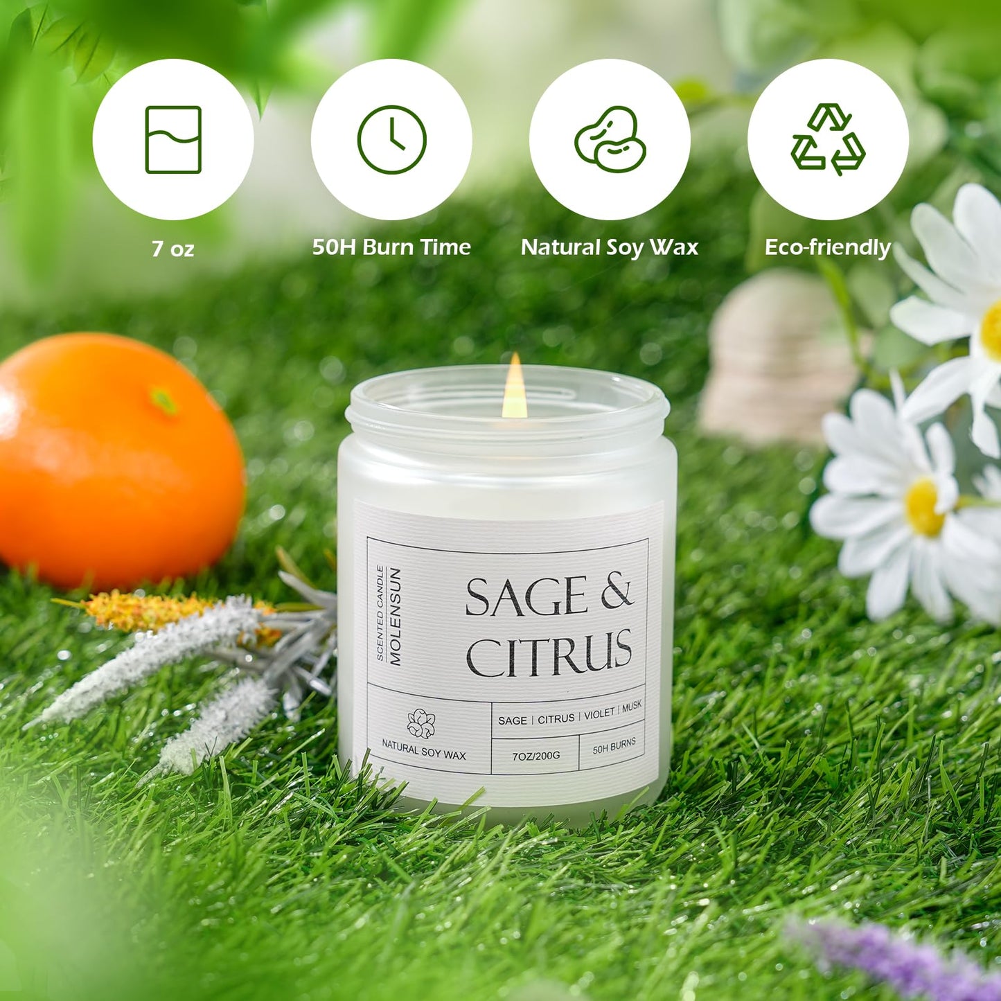 Molensun Sage Citrus Scented Candle, Soy Wax 7 oz