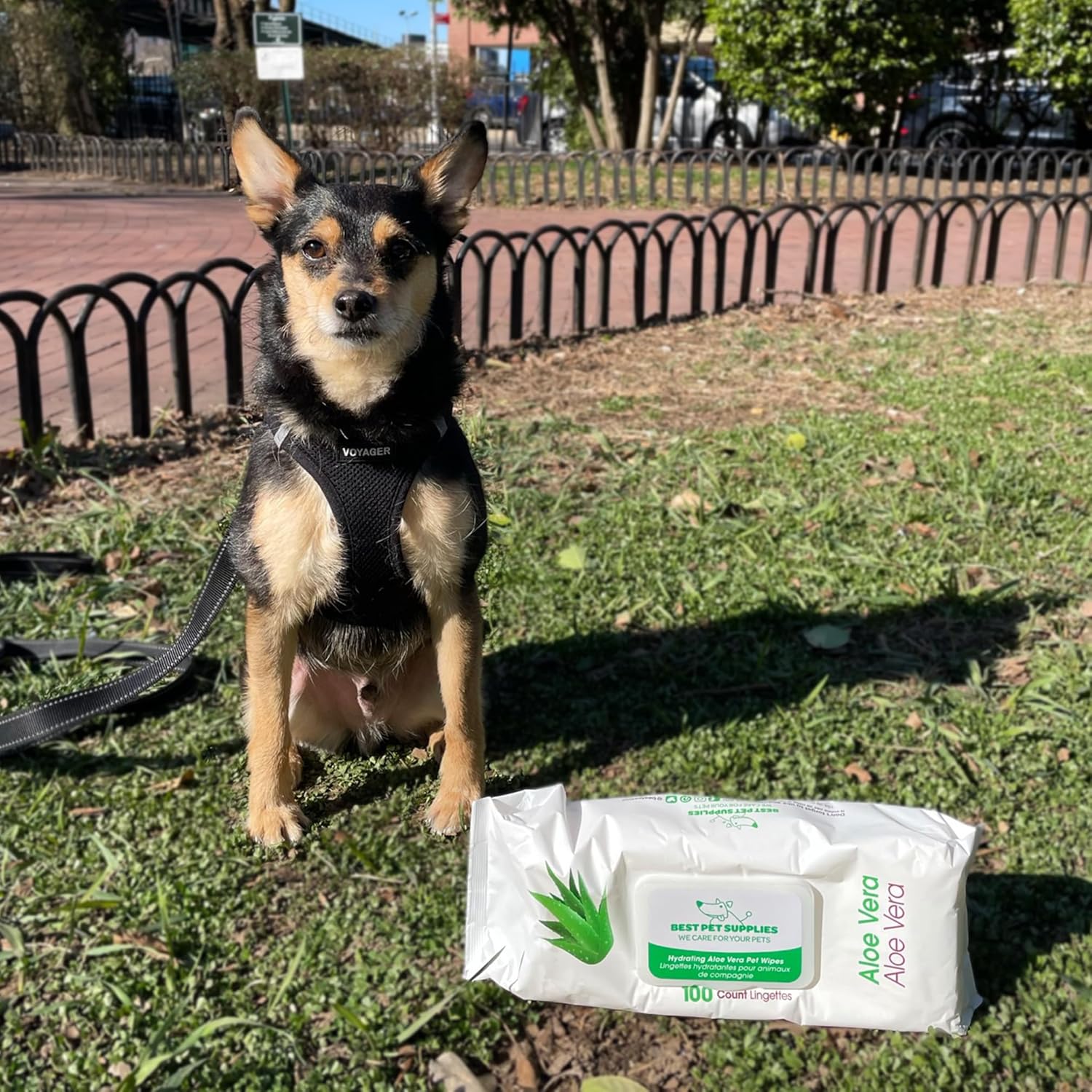 Best Pet Supplies Pet Wipes for Dogs - Dog Wipes Cleaning Deodorizing, for Coats, Ears, Paws