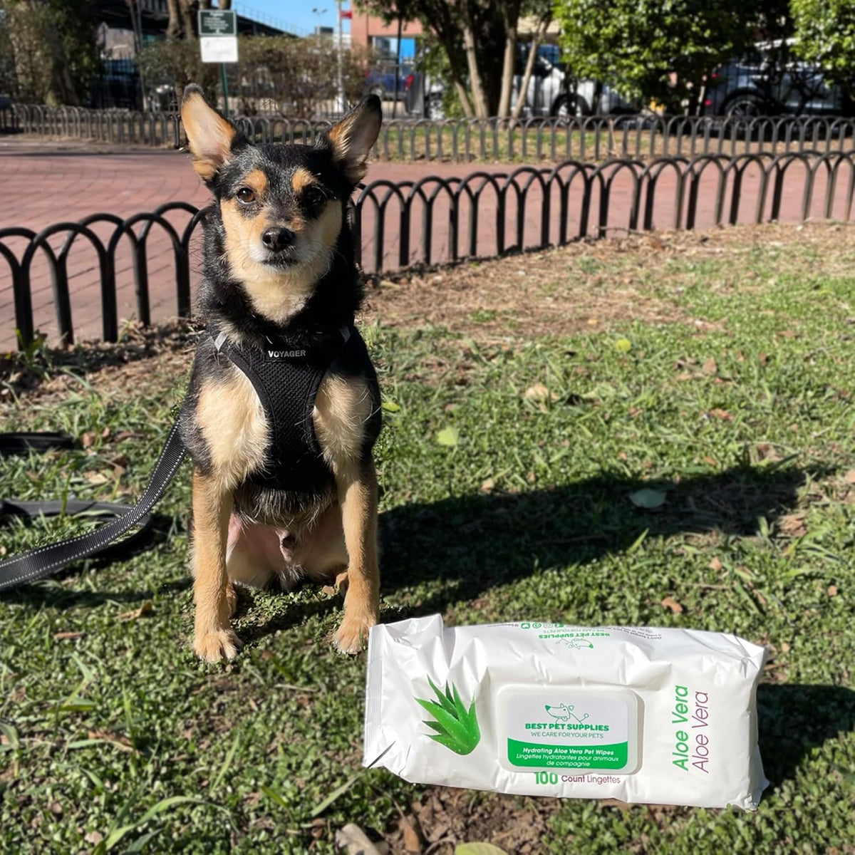 Best Pet Supplies Pet Grooming Wipes for Dogs & Cats,Deodorizer for Coats & Dry, Itchy, or
