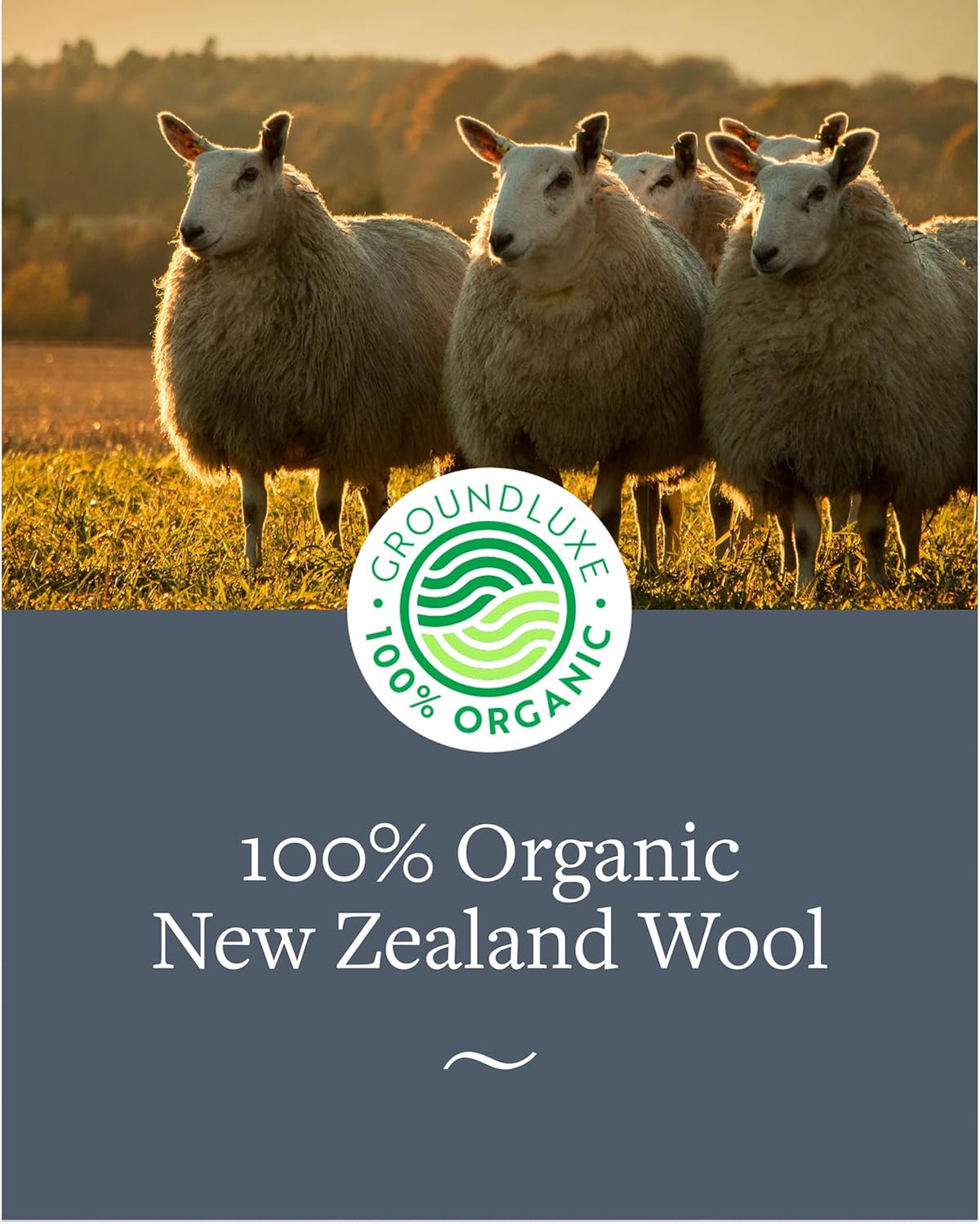 GroundLuxe Premium New Zealand Wool Dryer Balls - 6-Pack, 100% Organic, Hand-Felted, Reusable