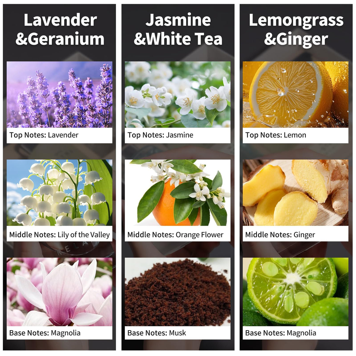 3 Pack Fragrance Reed Diffuser, 50ML Lavender Jasmine Lemongrass