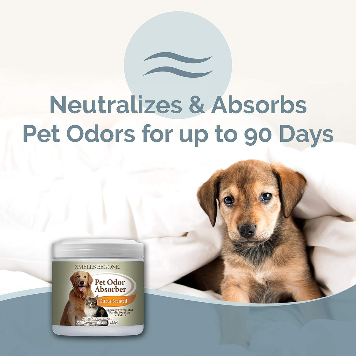SMELLS BEGONE Air Freshener Pet Odor Absorber Gel - 15 oz, Pack of 2 - Absorbs and Eliminates Odor