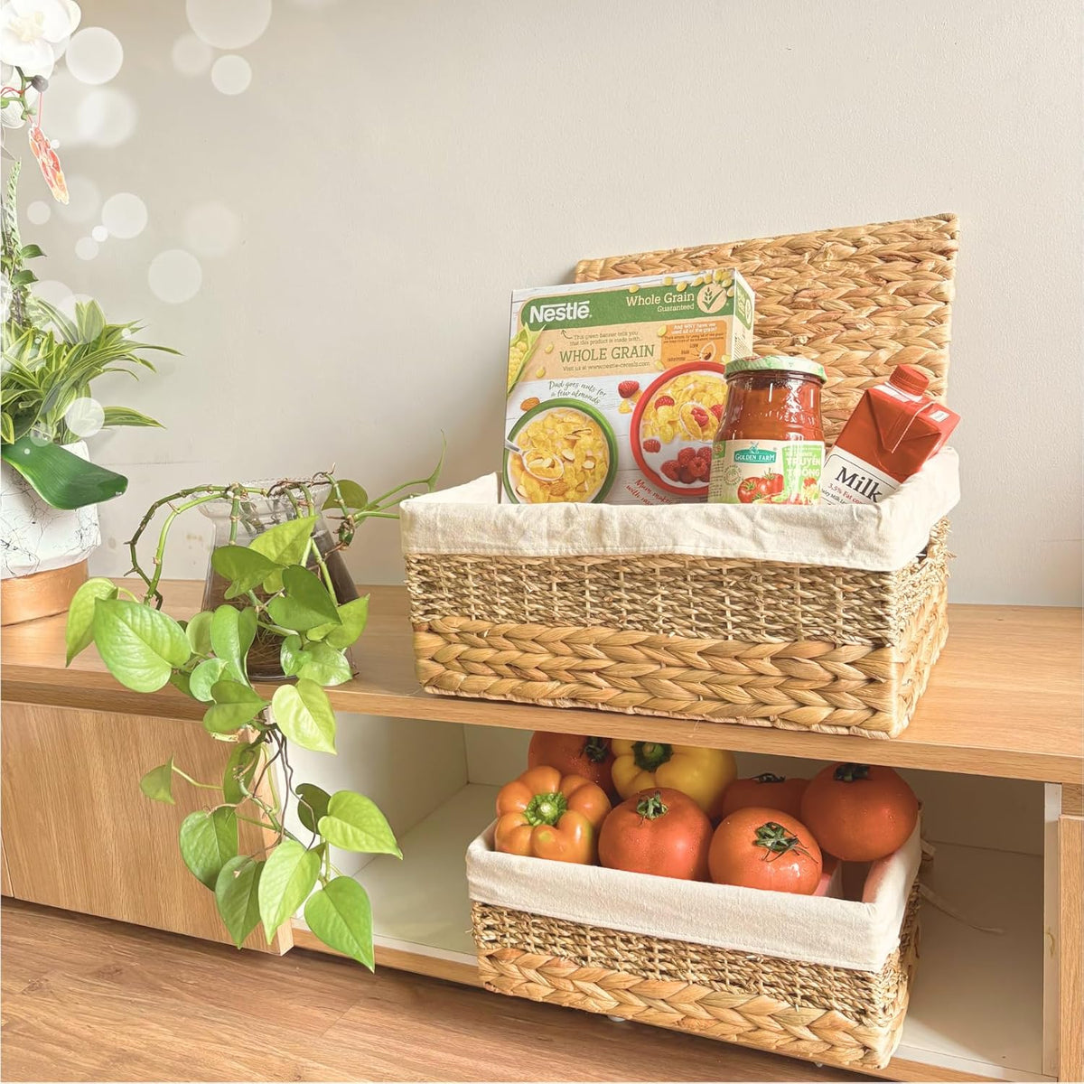 Wicker Storage Baskets with Lid and Lining, Built-in Carry Handles, Set of 2 Handwoven Water