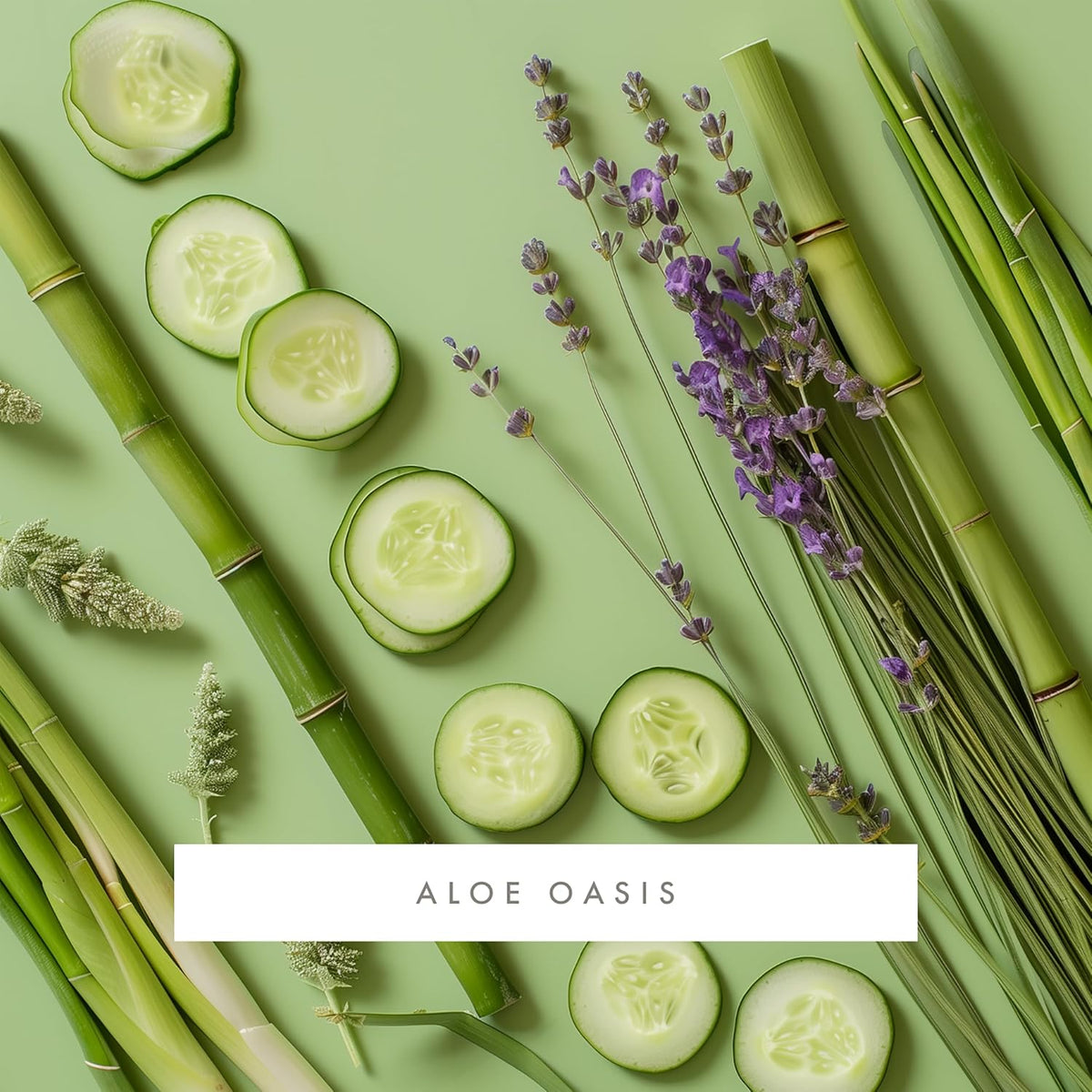 ScentAir Whisper Home Monthly Plug-in Refill, Fragrance Cartridge for Home and Office, Aloe Oasis