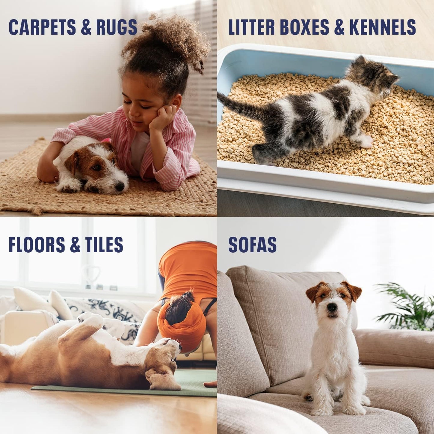 Bioesque Advanced Stain + Odor Remover, Pet-Friendly Natural Enzymatic & Bacterial Formula