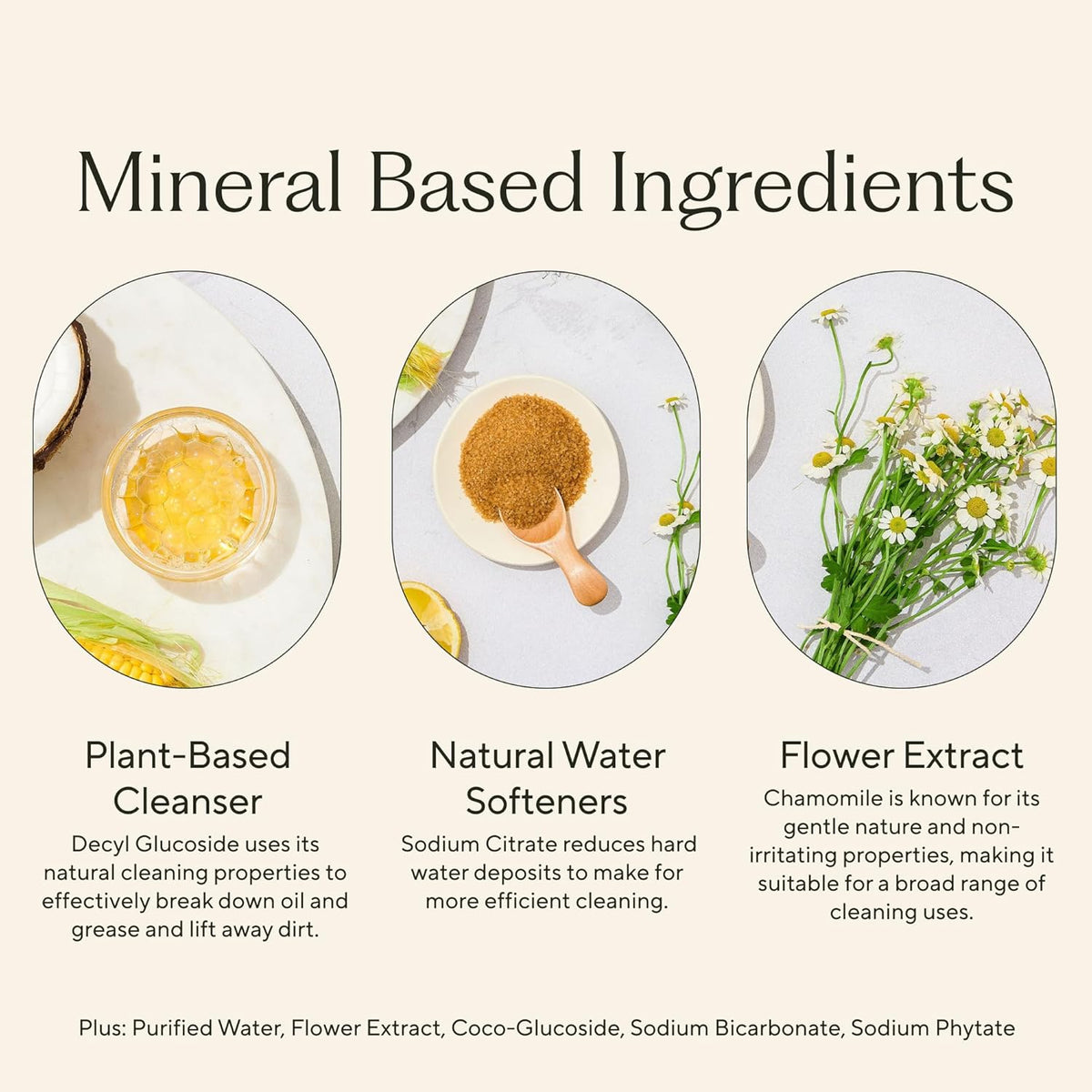 Branch Basics Concentrate REFILL- Multi-surface All Purpose Cleaner Concentrate - Laundry, Kitchen