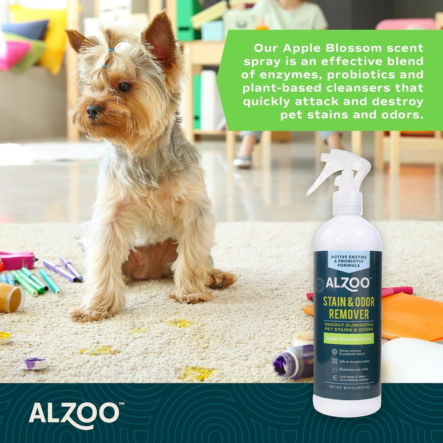 ALZOO Stain & Odor Remover, Quickly Lifts & Dissolves Pet Stains & Helps Eliminate Odors, 100%