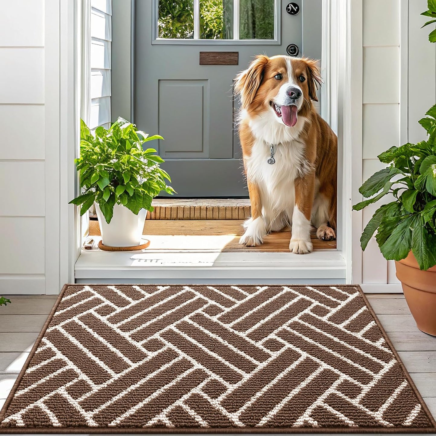 OLANLY Indoor Door Mat, 32x20 Inch, Dirt Resistant and Absorbent, Non-Slip Rubber Backing Floor