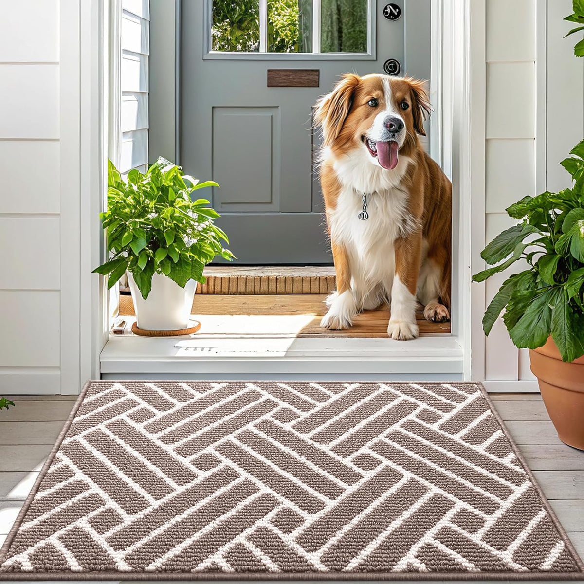 OLANLY Indoor Door Mat, 48x32 Inch, Dirt Resistant and Absorbent, Non-Slip Rubber Backing Floor