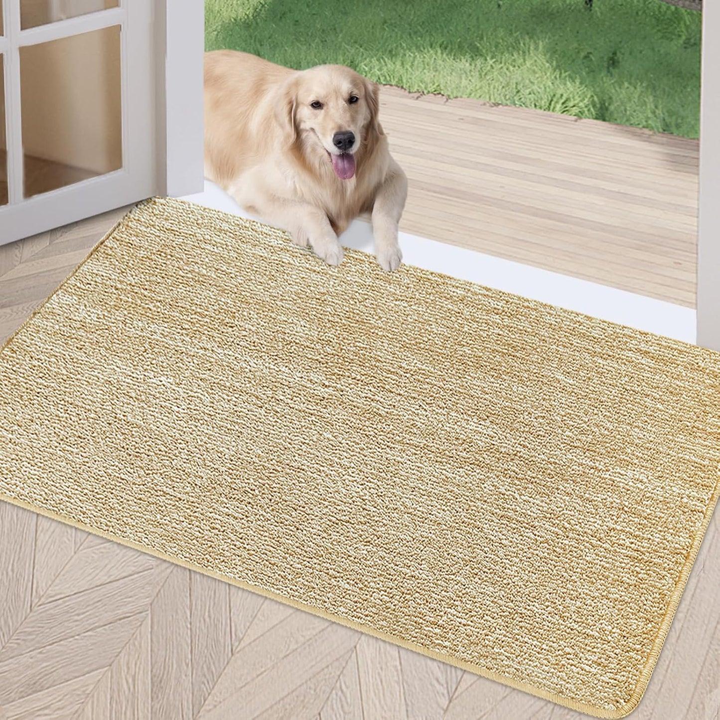 REFETONE Indoor Doormat, Front Door Mat 24"x36" Absorbent Rubber Backing Non Slip Back Door Mats