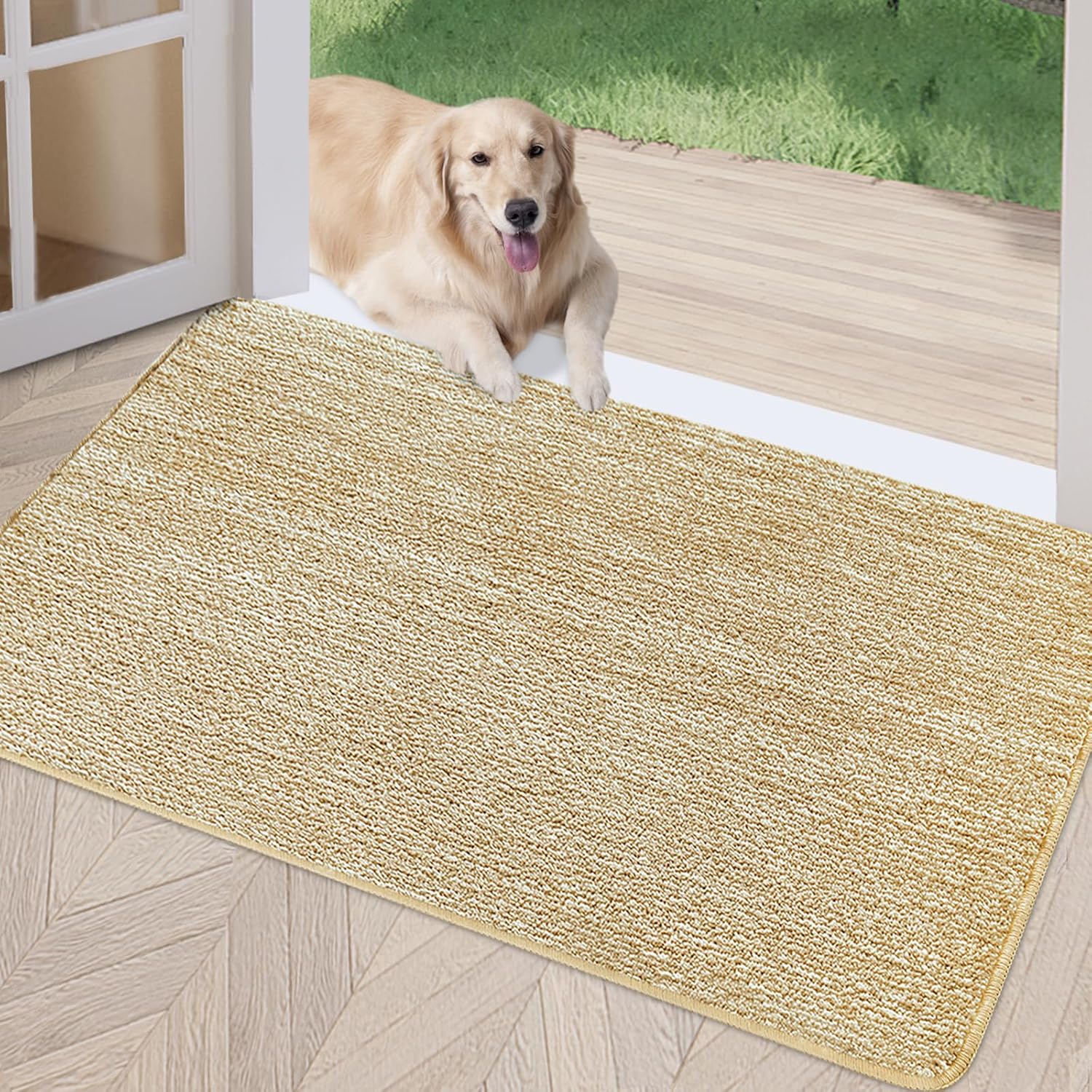 REFETONE Indoor Doormat, Front Door Mat 24"x36" Absorbent Rubber Backing Non Slip Back Door Mats
