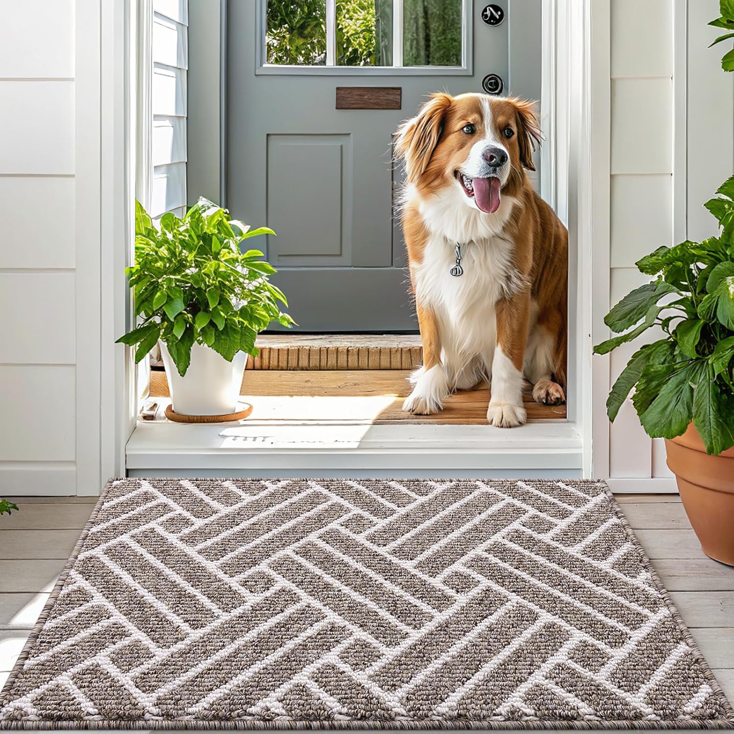 OLANLY Runner Indoor Door Mat, 59x23 Inch, Dirt Resistant and Absorbent, Non-Slip Rubber Backing