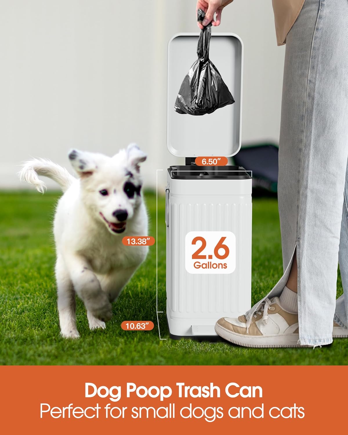 Small Trash Can with Lid Soft Close-10L/2.6 Gal Stainless Steel Outdoor Dog Poop Garbage Can-Metal