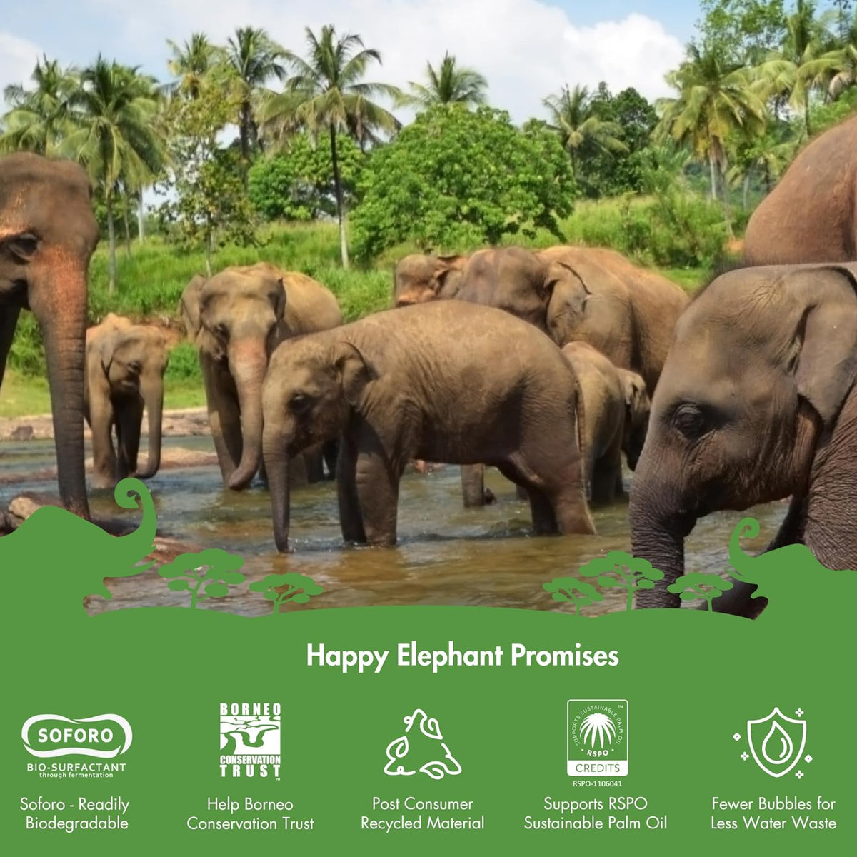 Happy Elephant Fabric Softener, White Tea & Fig Scent, Natural Biodegradable Liquid Fabric