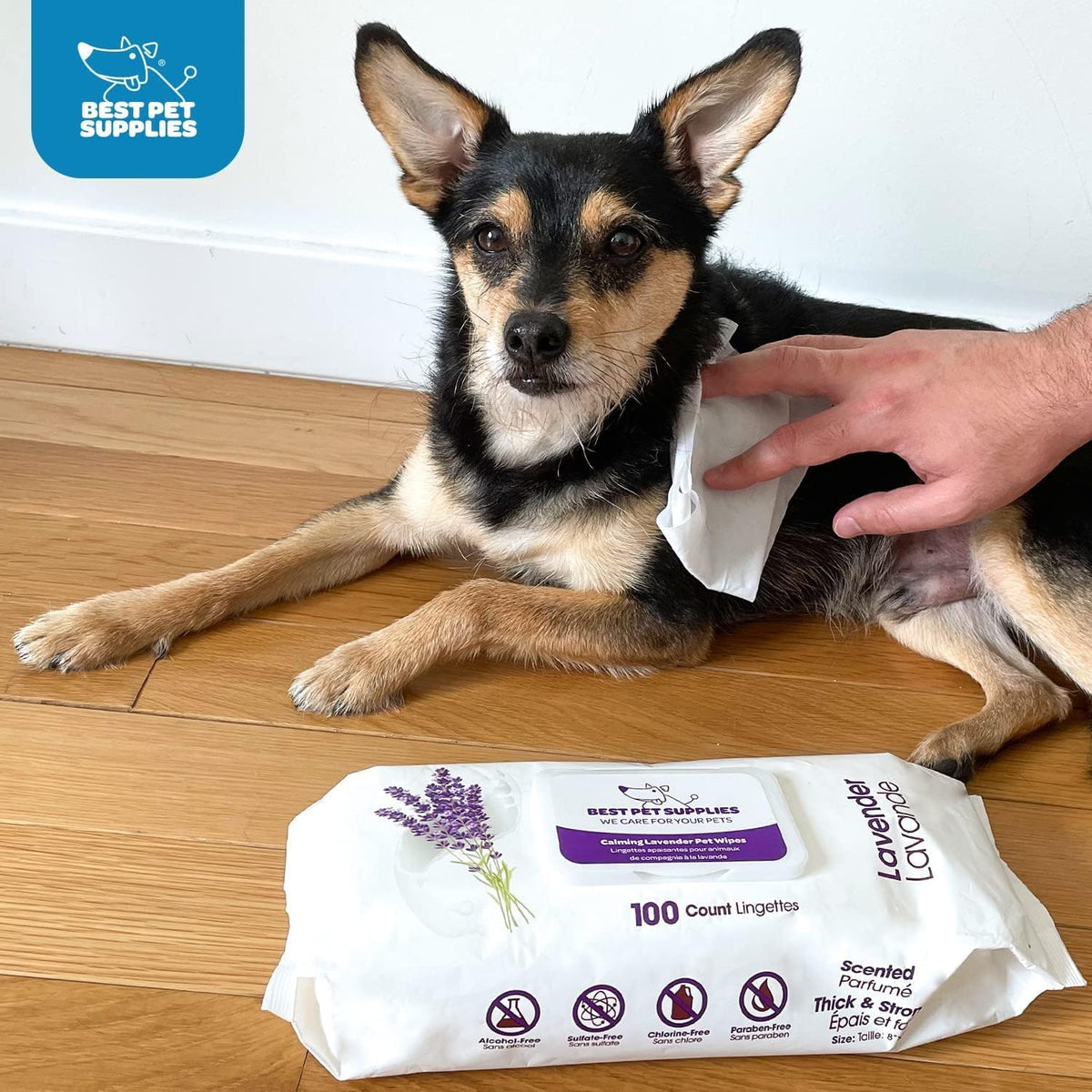 Best Pet Supplies Pet Wipes for Dogs - Dog Wipes Cleaning Deodorizing, for Coats, Ears, Paws