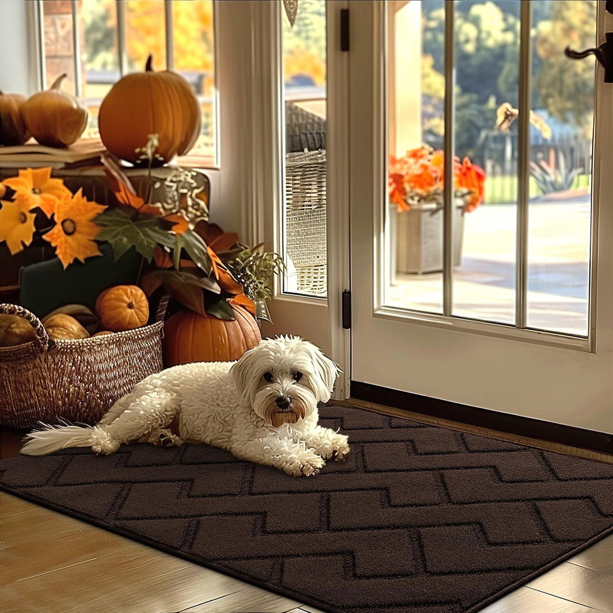hicorfe Indoor Door Mat,Non Slip Door Mats,32"x48" Front Back Door Mat Rubber Backing,Absorbent