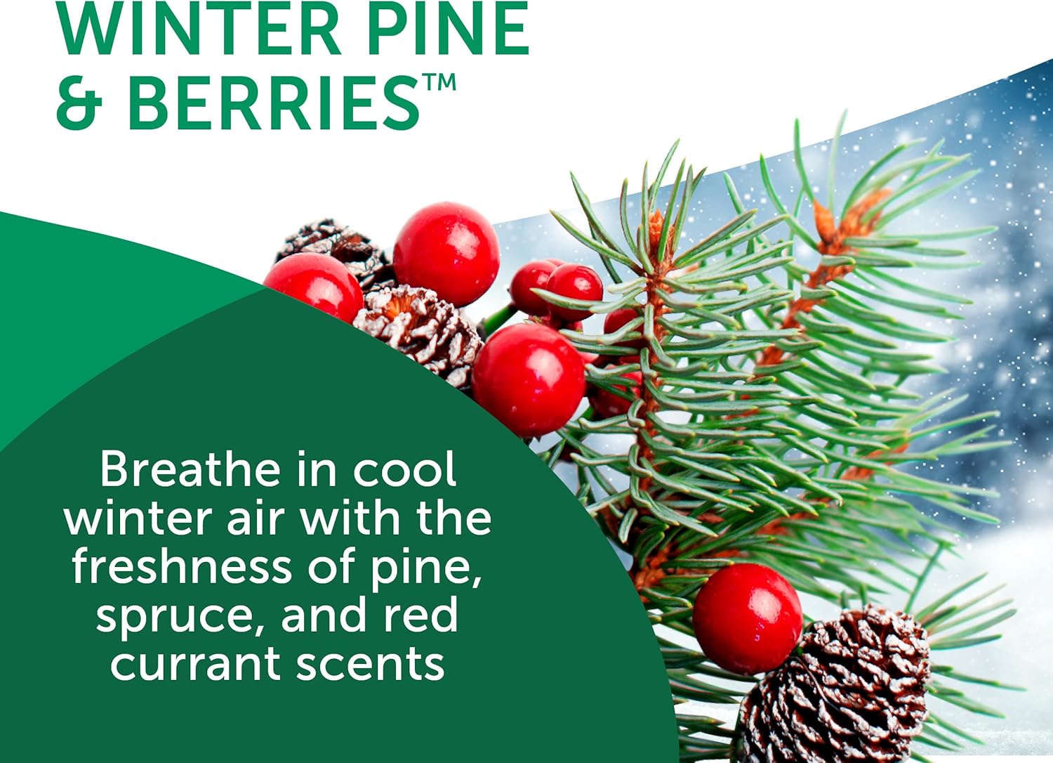 Bright Air 14 oz. Super Odor Eliminator, For Medium-Size Spaces, Winter Pine & Berries Scent, Case