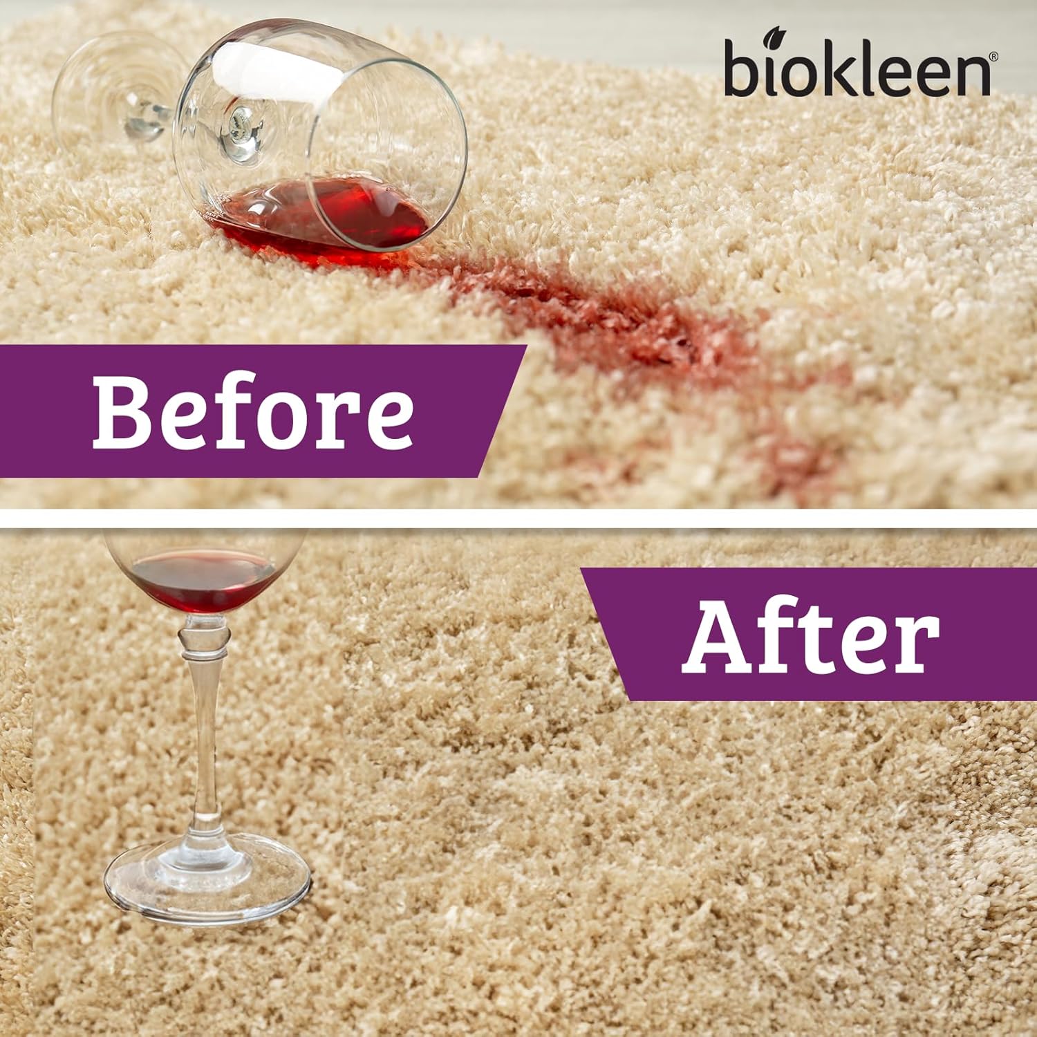 Biokleen Bac-Out Enzymatic Stain & Odor Remover for Carpet - Removes Stains and odors caused by