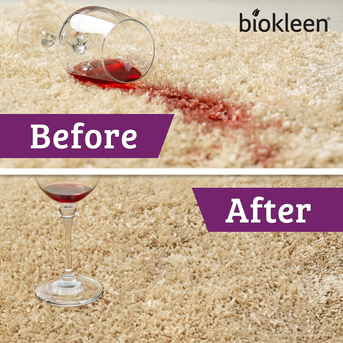 Biokleen Bac-Out Stain Remover for Carpet, Clothes - 32 Ounce and Gallon Refill - Enzymatic, for
