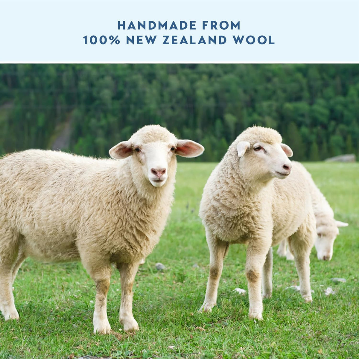 ELYN Wool Dryer Balls 6-Pack - XL, 100% New Zealand Wool, Reusable and Handmade. Fragrance-Free