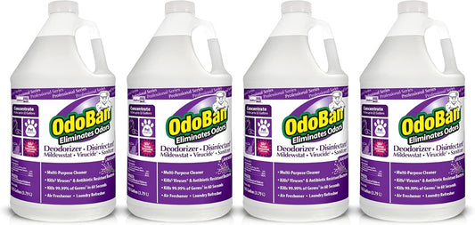 OdoBan Professional Disinfectant and Odor Eliminator Concentrate, Made in the USA, Lavender Scent