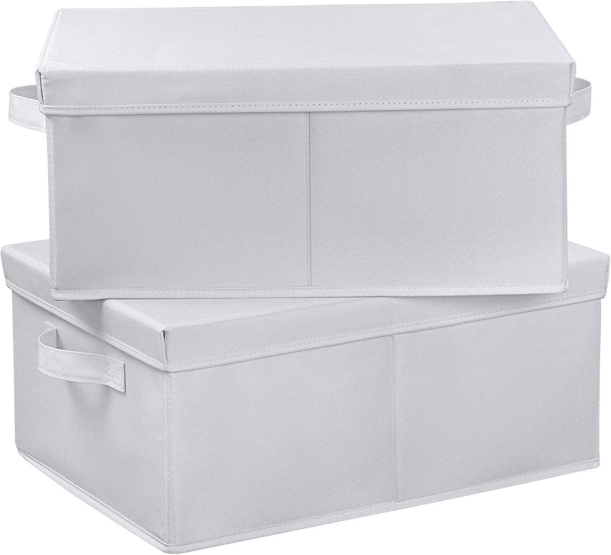 HOONEX Storage Bins with Lids for Organizing, Pack of 2, Storage Boxes with 2 Carrying Handles and
