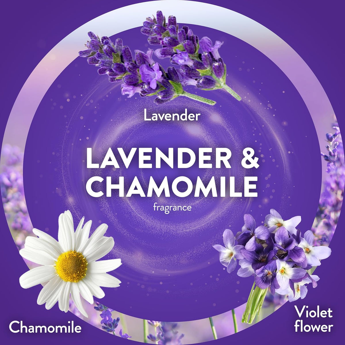 Air Wick Scented Oils 0+5 Lavender & Chamomile