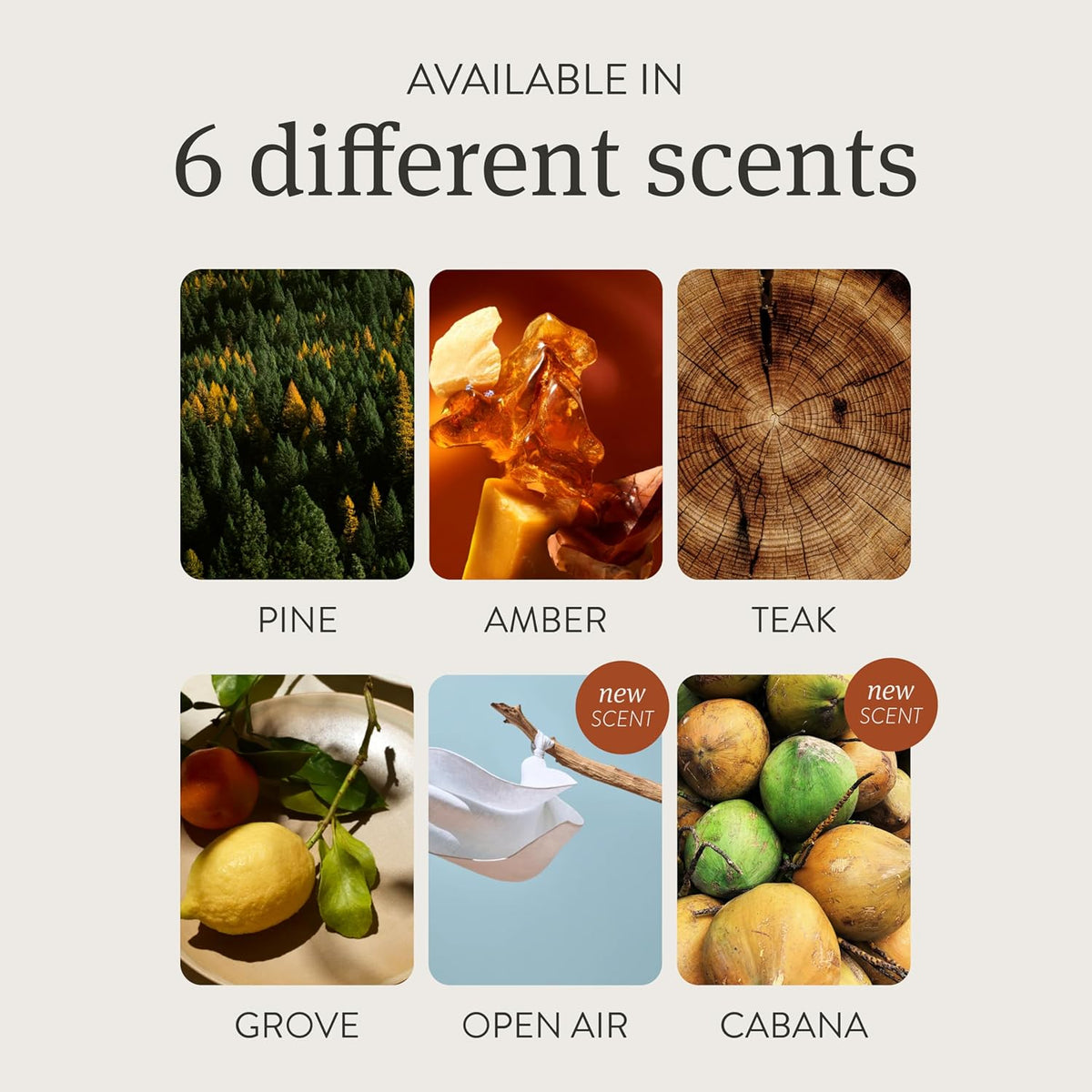 Drift Car Air Freshener - The Original Stone Air Freshener - Car Odor Eliminator - Long Lasting