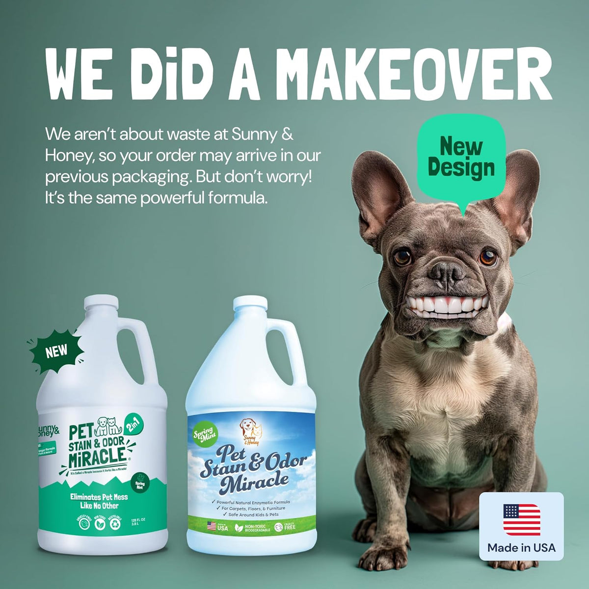 Sunny & Honey Pet Stain & Odor Miracle - 1 Gallon (128 Fl Oz), Spring Mint Scent - Carpet Shampoo