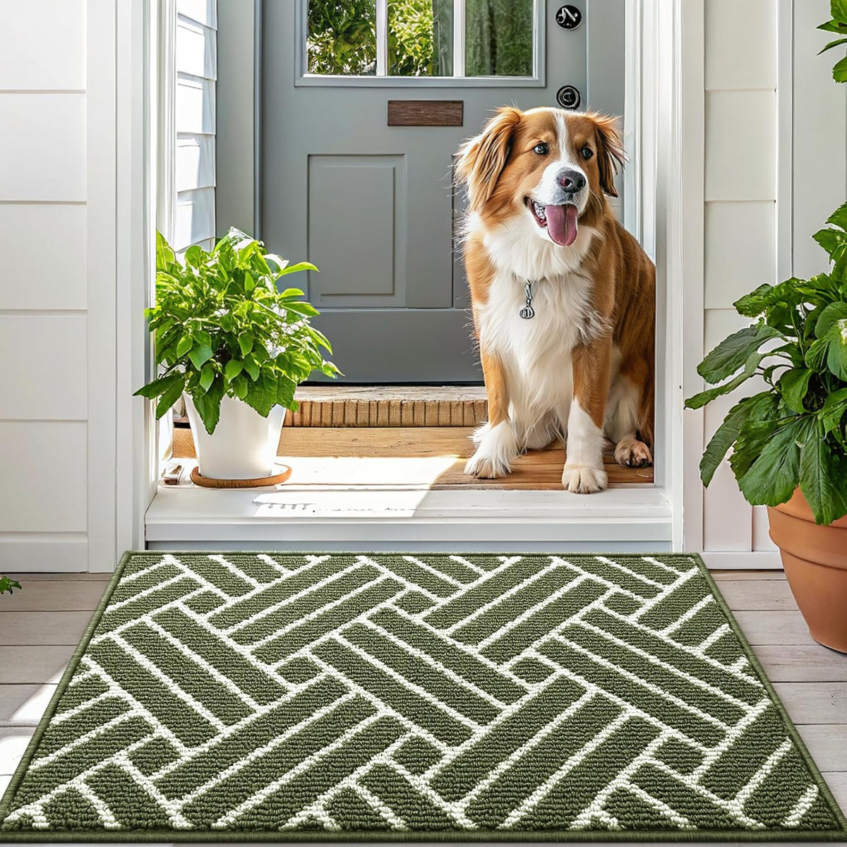 OLANLY Indoor Door Mat, 32x20 Inch, Dirt Resistant and Absorbent, Non-Slip Rubber Backing Floor