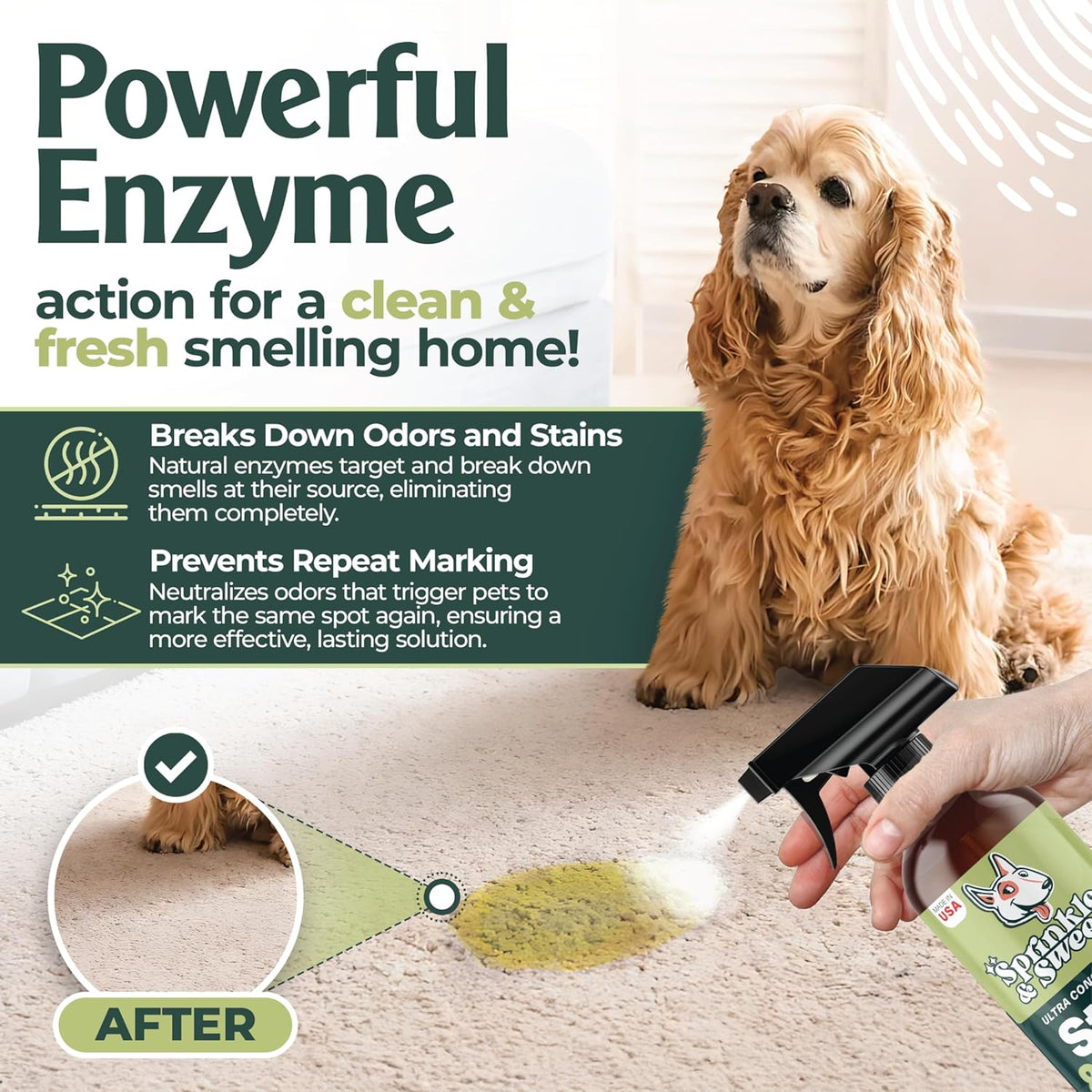 Enzyme Cleaner for Cat Urine | Cat Pee Odor Eliminator & Stain Remover | Dog Urine Carpet Spray |