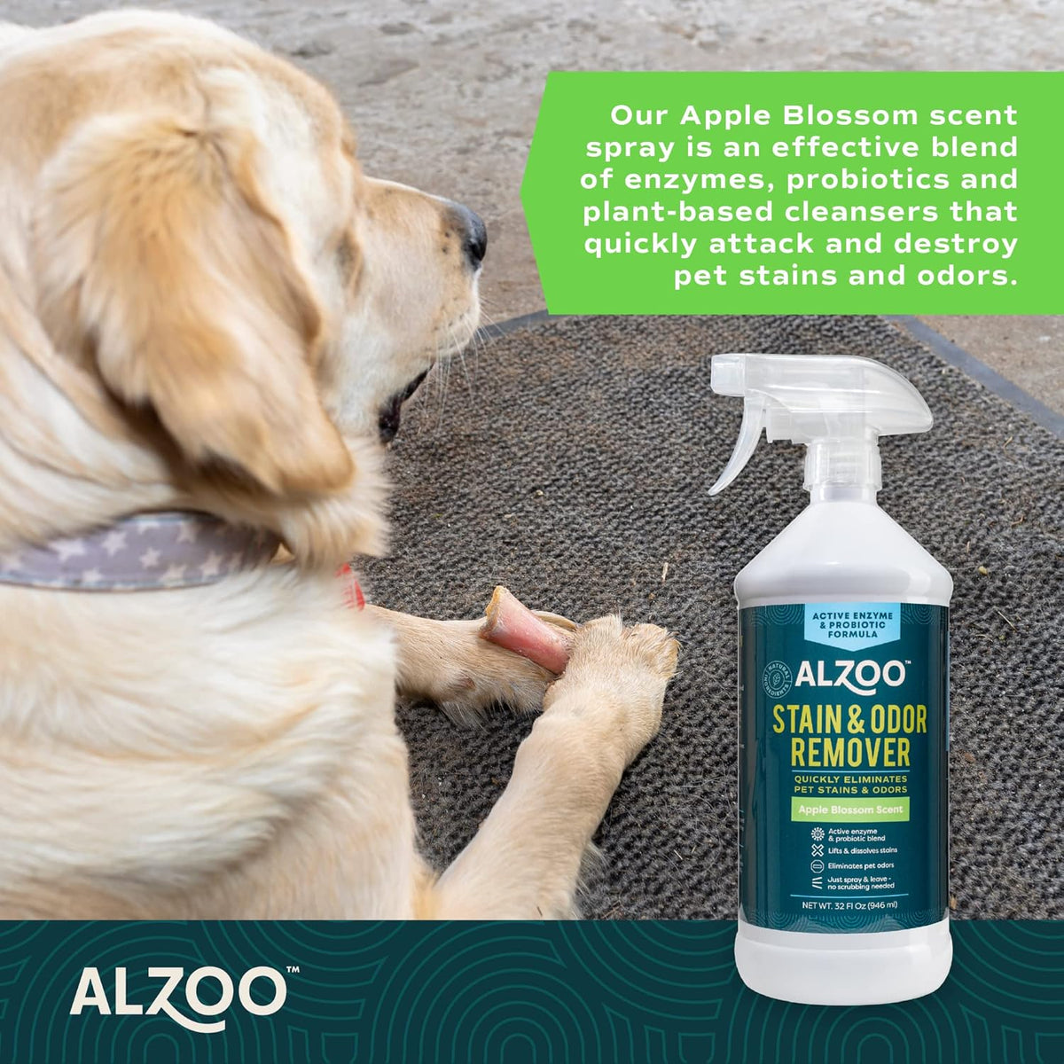 ALZOO Stain & Odor Remover, Quickly Lifts & Dissolves Pet Stains & Helps Eliminate Odors, 100%
